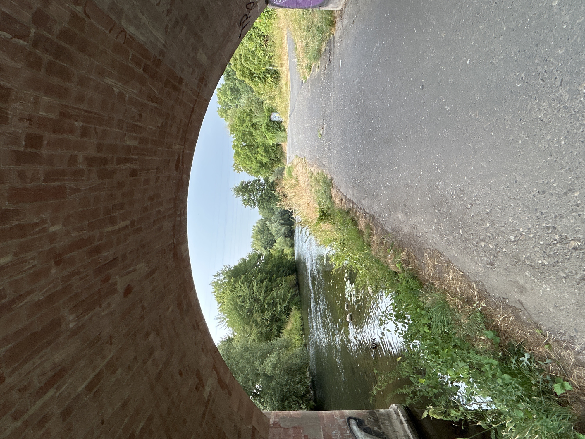 This image captures a view from under a brick archway, possibly a bridge, looking out towards a river and a path. The archway's rough brickwork is prominent in the foreground, with a lighter sky visible through the opening.
To the left, a river flows, its surface dappled with sunlight. Lush green trees and foliage line the riverbank, creating a natural border. Several ducks are visible on the water, seemingly undisturbed.
To the right, a paved path, possibly a walkway or road, curves away from the viewer. The path is bordered by dry grasses and more greenery. The path appears to split into two directions in the distance.
Graffiti is present on the left side of the brick structure and further along the path on a concrete pillar. The overall environment suggests a park or recreational area within a city, with a blend of urban infrastructure and natural elements. Given the description of the location, this scene could be situated in Frankfurt, Germany, near a river that is crossed by such brick archways.