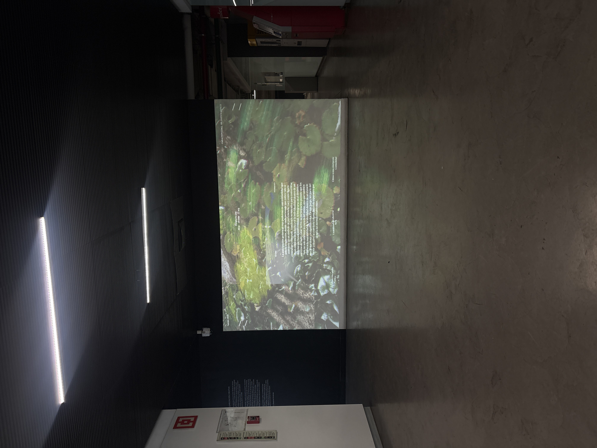 Here is a description of the image:
The image shows an interior exhibition in what appears to be a gallery or cultural space in Mexico City, Mexico. A large screen displays a video or projection of a watery scene, likely featuring lily pads or aquatic plants, possibly with accompanying text overlayed on top of the image. The screen is positioned in front of a dark wall with vertical lines that are illuminated by two vertical LED light fixtures to the left. Beneath the screen are wall-mounted signs or plaques with printed information, possibly describing the artwork or exhibition. The floor is a neutral gray color and appears to be concrete. The lighting is a combination of ambient and artificial, creating a somewhat low-lit environment. In the background, elements such as a red machine resembling a phone booth suggest an urban location. There is no presence of people.