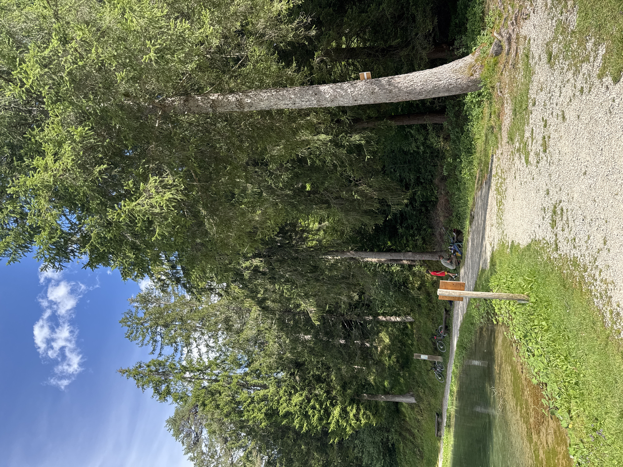 The image depicts a scenic view of a clear, shallow lake surrounded by lush green vegetation and tall evergreen trees. A gravel path winds alongside the lake, leading through a wooded area. Several bicycles are parked near a wooden bench by the path. Further along, two individuals are seated on another bench, with one person standing nearby in a red shirt. A wooden post with a sign is prominently placed near the path by the lake. The sky above is blue with scattered white clouds. The environment suggests a tranquil outdoor recreational area. The location is identified as being in Calalzo di Cadore, Italy.