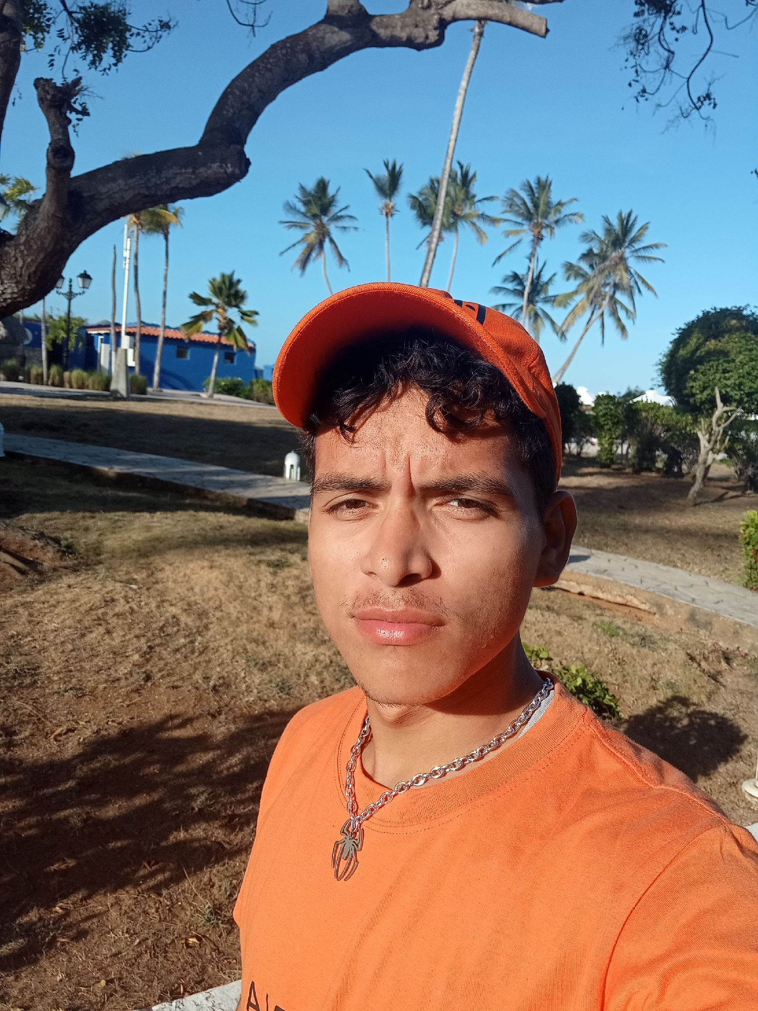 A young adult male is featured in a close-up, selfie-style outdoor photograph taken in Playa El Agua, Venezuela. He has light skin, dark curly hair, a light mustache, and his expression is neutral with a slightly furrowed brow as he looks directly into the camera. He is wearing an orange baseball cap and an orange crew-neck t-shirt. A silver-colored chain necklace with a prominent spider-shaped pendant is visible around his neck.
The background depicts an outdoor environment under a clear, bright blue sky. A large tree with a thick, gnarled, dark-barked branch extends from the left into the upper frame. Several tall palm trees are scattered across the mid-ground. To the left, a distinct blue building with a reddish-brown roof is visible, along with another blue structure and a black lamppost. The ground consists primarily of dry, yellowish-brown grass and dirt, intersected by a light-colored paved pathway that curves from the mid-ground towards the lower right. Manicured green bushes and smaller trees are present on the right side of the frame. Strong sunlight illuminates the scene, casting distinct shadows on the ground.
