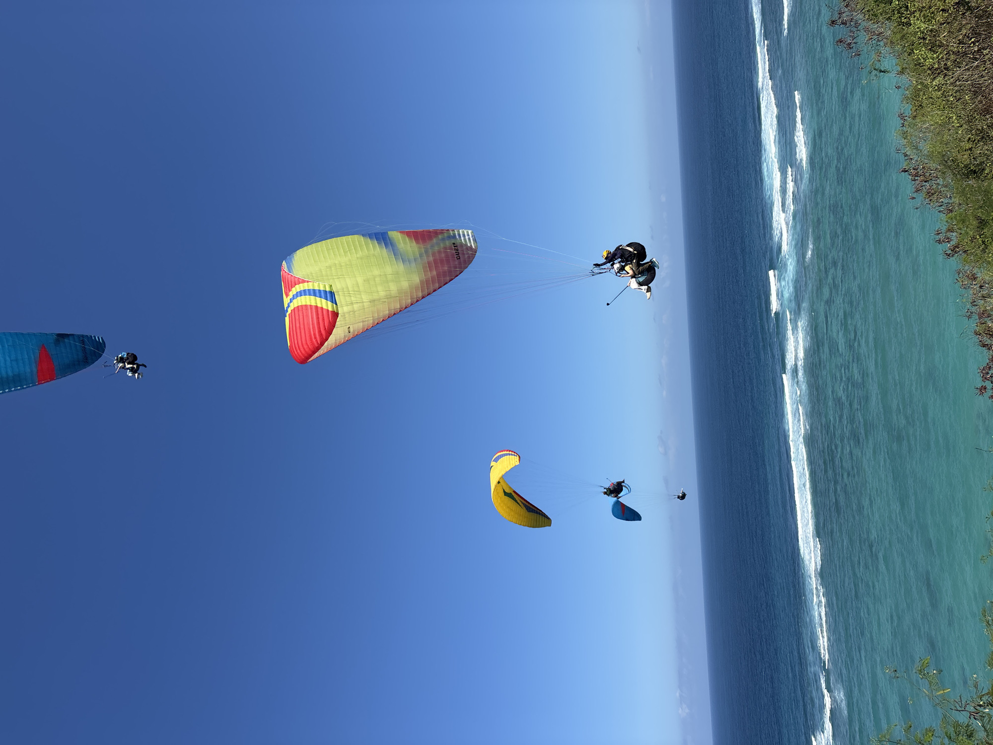 In Kuta Selatan, Indonesia, on a clear day, paragliders are seen soaring over the turquoise waters of the Indian Ocean. The scene captures at least four paragliders suspended in the bright blue sky. One prominent paraglider, yellow and red, is positioned in the mid-ground. Below it, a blue paraglider with a person is visible. Further in the distance and higher up, another paraglider with blue and red accents is seen. Closer to the foreground and slightly to the right, a large paraglider with yellow, red, and blue segments is descending, with two individuals strapped into the harness below. The ocean stretches out to the horizon, with white waves breaking near the shore, which is lined with lush green vegetation. The image is taken from a slightly elevated perspective, looking up towards the paragliders and out over the ocean.