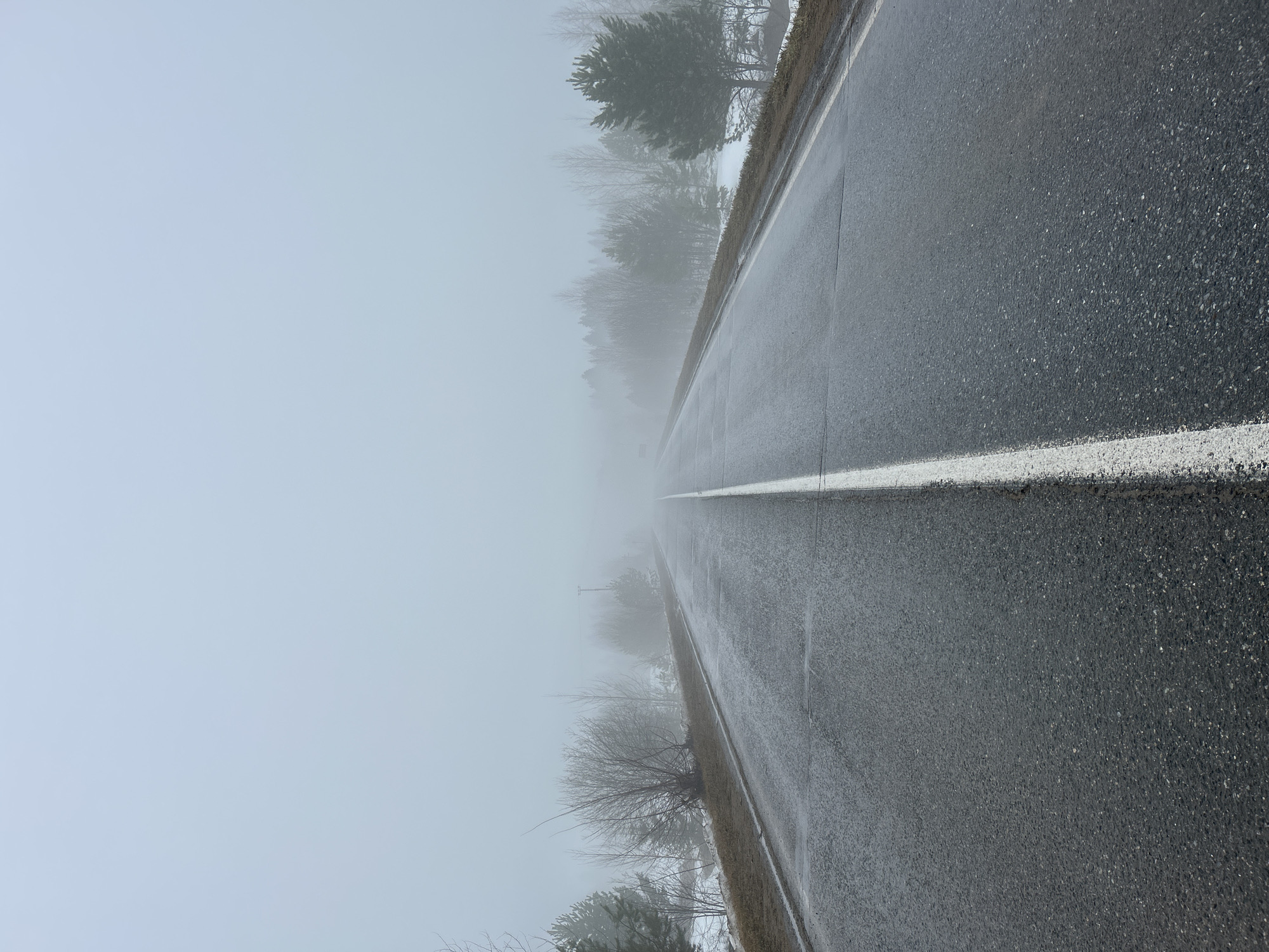 The image depicts a wet, paved road in a rural area, possibly in or near Уральское, Russia, characterized by heavy fog obscuring the distant landscape. The road is marked with a solid white center line. The road shoulder is lined with grass and bare trees are visible on either side, disappearing into the fog. Some snow can be seen on the ground along the road's edge. No people, vehicles, or other objects are visible on the road. The overall scene conveys a sense of isolation and low visibility due to the dense fog.
