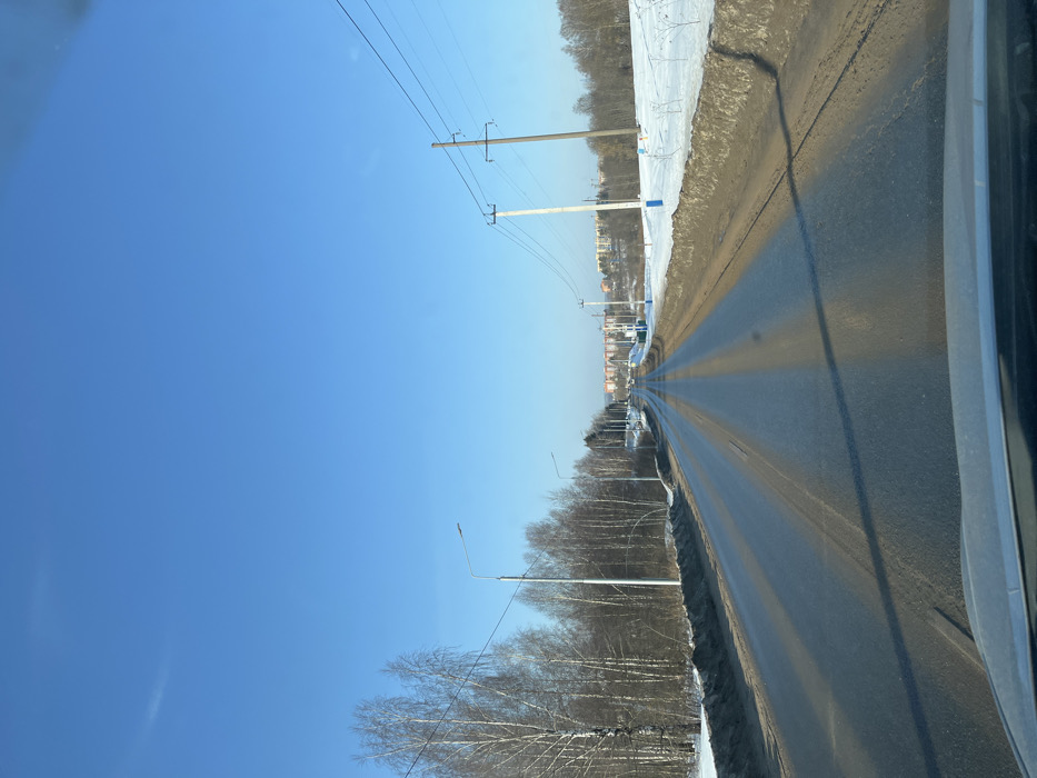 An image captured from inside a vehicle depicts a two-lane asphalt road extending into the distance under a clear, bright blue sky in Poddubki, Russia. The road surface appears partially wet or reflective, with several parallel dark stripes, likely shadows, running along its length. On the left side of the road, a line of bare deciduous trees, predominantly birches, stands alongside a snow-covered verge mixed with dirt. Multiple streetlights with horizontal fixtures are positioned along this side. Overhead power lines traverse the scene from the left. On the right, the roadside features snow-covered ground with patches of exposed dirt and a few small, bare shrubs. Several utility poles, one white and one brown, support multiple power lines running parallel to the road. Further along the right, blue-colored structures are visible next to the road. In the mid-to-far distance, a cluster of multi-story residential buildings is visible on a slight elevation, flanked by forested areas. The immediate foreground shows the upper edge of a vehicle's dashboard and windshield. The environment suggests a winter setting with sunny weather. No people are visible.
