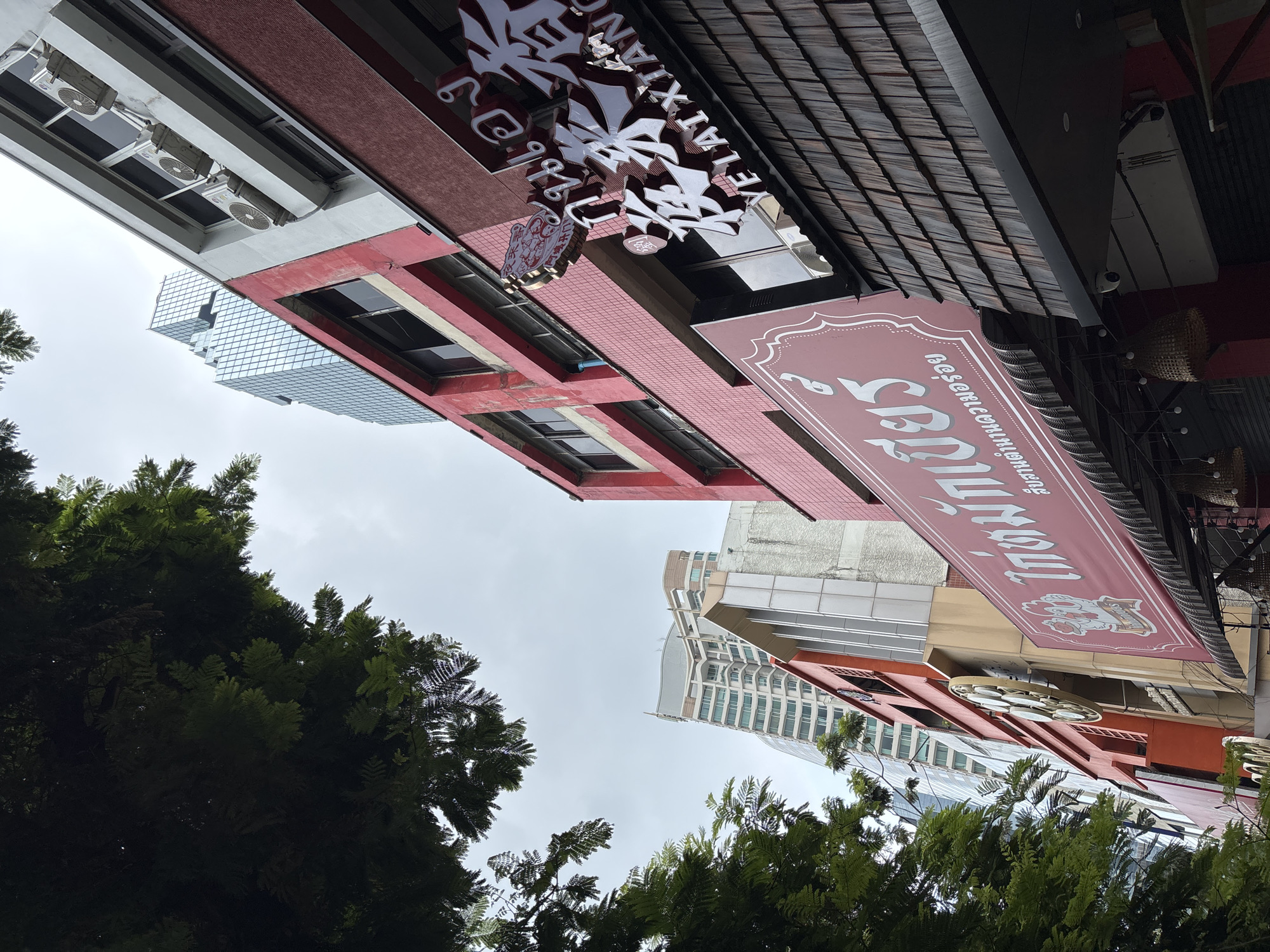 The image, viewed upright, depicts an upward perspective of an urban street scene in Bangkok, featuring buildings, signage, and lush green trees under an overcast sky.
In the foreground, dense, dark green foliage fills the lower left and right portions of the frame. Above the trees on the left, a multi-story building with a red facade and dark rectangular windows is visible. Below its roofline, multiple outdoor air conditioning units are mounted under a concrete overhang.
To the right, another building features a prominent dark, ridged tiled roof. Below this roof, a large, reddish-brown banner or awning extends outwards. This banner displays white Thai text, notably "สยามสแควร์" (Siam Square), and a graphic of a cartoon-style character, possibly a cook or traditional figure.
Further below the tiled roof, an ornate white sign with intricate patterns is suspended. This sign includes the Thai words "เยาวราช" (Yaowarat) and "ข้าวหน้าไก่" (Khao Na Kai - chicken over rice), alongside Chinese script (specifically "泰" for Thai) and the English word "YAOWARAT." These signs collectively suggest a restaurant specializing in chicken over rice, possibly with a connection to Bangkok's Chinatown (Yaowarat).
In the mid-ground and background, modern high-rise buildings with reflective glass facades rise against the light grey, overcast sky, indicating daytime. The scene presents a blend of older, shophouse-style architecture with contemporary urban development. No individuals are visible in the image.