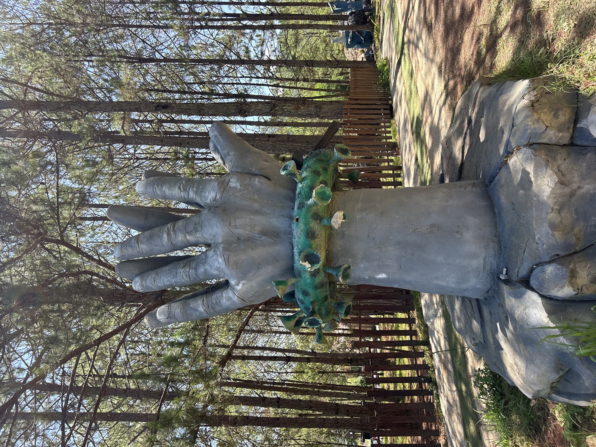 The image displays a striking vertical sculpture of a human arm and open hand, crafted from what appears to be gray concrete or stone. The hand is positioned as if reaching upwards. Around the wrist of the sculpture, a prominent green and spiky band is attached, strongly resembling a stylized representation of the SARS-CoV-2 virus (COVID-19).
The sculpture is set outdoors in what appears to be a park or forested area in Da Lat, Vietnam. The background is dominated by numerous tall, slender pine trees, their dense canopy creating a textured green and brown pattern against a clear, bright blue sky. Below the sculpture, the ground features a light-colored dirt path alongside areas of green grass. A wooden fence or railing runs along one side of the path, bordering a raised section of ground.
The scene is illuminated by bright, clear daylight, suggesting sunny weather. Shadows from the trees and possibly other objects are cast across the path and grass. There are no people visible, and no specific activity is taking place; the image focuses solely on the static art piece within its natural environment. No visible text is present in the image.