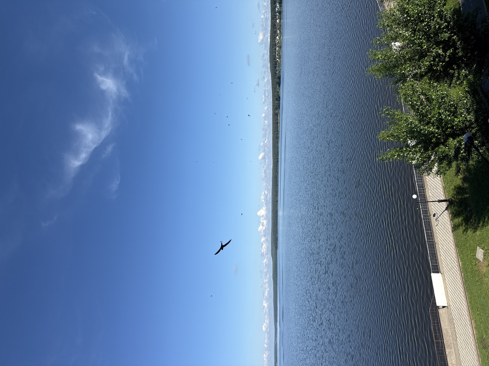 This image captures a panoramic view of a vast body of water, likely a lake or reservoir, under a bright blue sky. The sky, dominant in the upper portion of the frame, is largely clear with a few wispy white clouds. Several small birds are dotted across the sky, with one larger bird distinctly silhouetted in flight, its wings spread wide.
The expanse of water fills a significant part of the middle and lower-left, appearing dark blue with countless small ripples on its surface, suggesting gentle movement. A distant shoreline runs across the horizon, featuring a dense line of dark green forest, interspersed with what appear to be small, light-colored buildings or houses, indicating a remote settlement.
In the foreground, on the right side, is the near bank, a developed promenade area. A paved walkway with a checkered pattern of light-colored tiles runs alongside the water, separated by a low railing. Beyond the walkway, a strip of vibrant green grass is visible, leading to lush green trees and bushes that cast shadows. A dark lamppost stands among the foliage, and a white rectangular bench is situated on the paved area, facing the water.
The scene depicts a clear, sunny day, likely during midday or early afternoon, given the bright illumination and distinct shadows. The overall mood is tranquil and serene, with no people visible. The setting combines natural beauty with elements of urban development or a well-maintained park area along the water's edge, consistent with a waterside location in Votkinsk, Russia. There is no visible text.