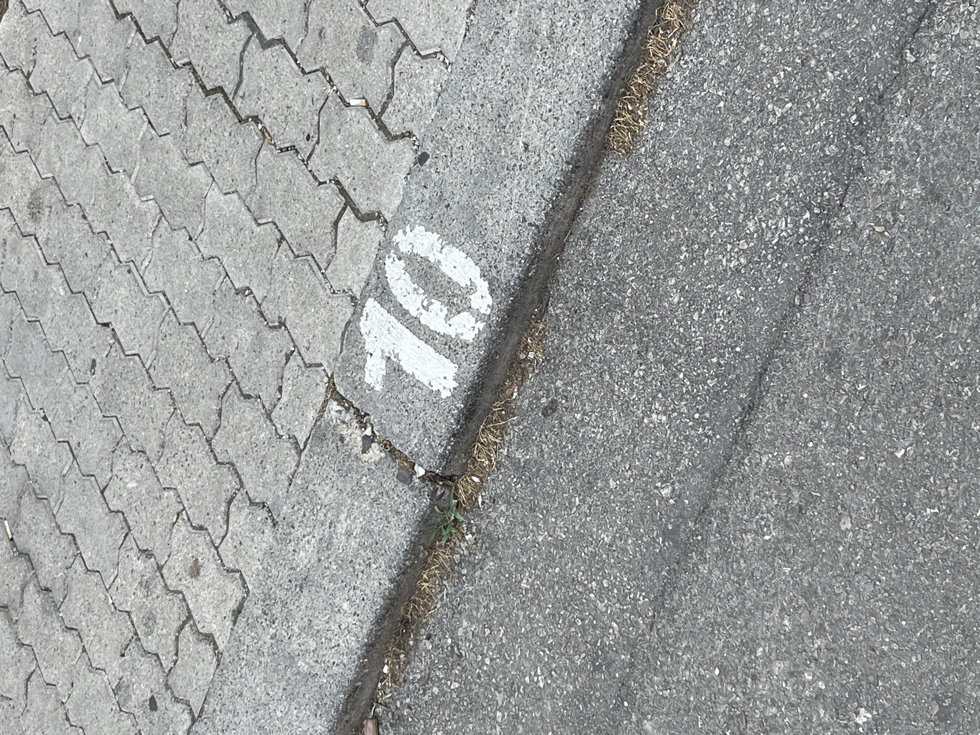 The image displays a close-up, top-down view of a paved surface, likely a street or sidewalk, divided into two distinct textures. On the left, interlocking gray concrete pavers form a repeating pattern. The right side of the image features dark gray asphalt, characteristic of a road surface. A concrete curb, painted white on its surface, separates the two textures. The number "10" is stenciled in white paint on the curb, partially worn. Dry grass and small weeds are visible growing in the cracks between the pavers and along the curb. The lighting suggests it is daytime, with the sun casting shadows and highlighting the textures of the materials. There are no people or animals visible. The scene is mundane, likely depicting a typical urban or roadside environment. The presence of the number "10" might indicate a parking spot, a house number, or a section marker. The location context of Budva, Montenegro, is not directly discernible from the visual elements, but it adds a geographical layer to the interpretation of a street or walkway.