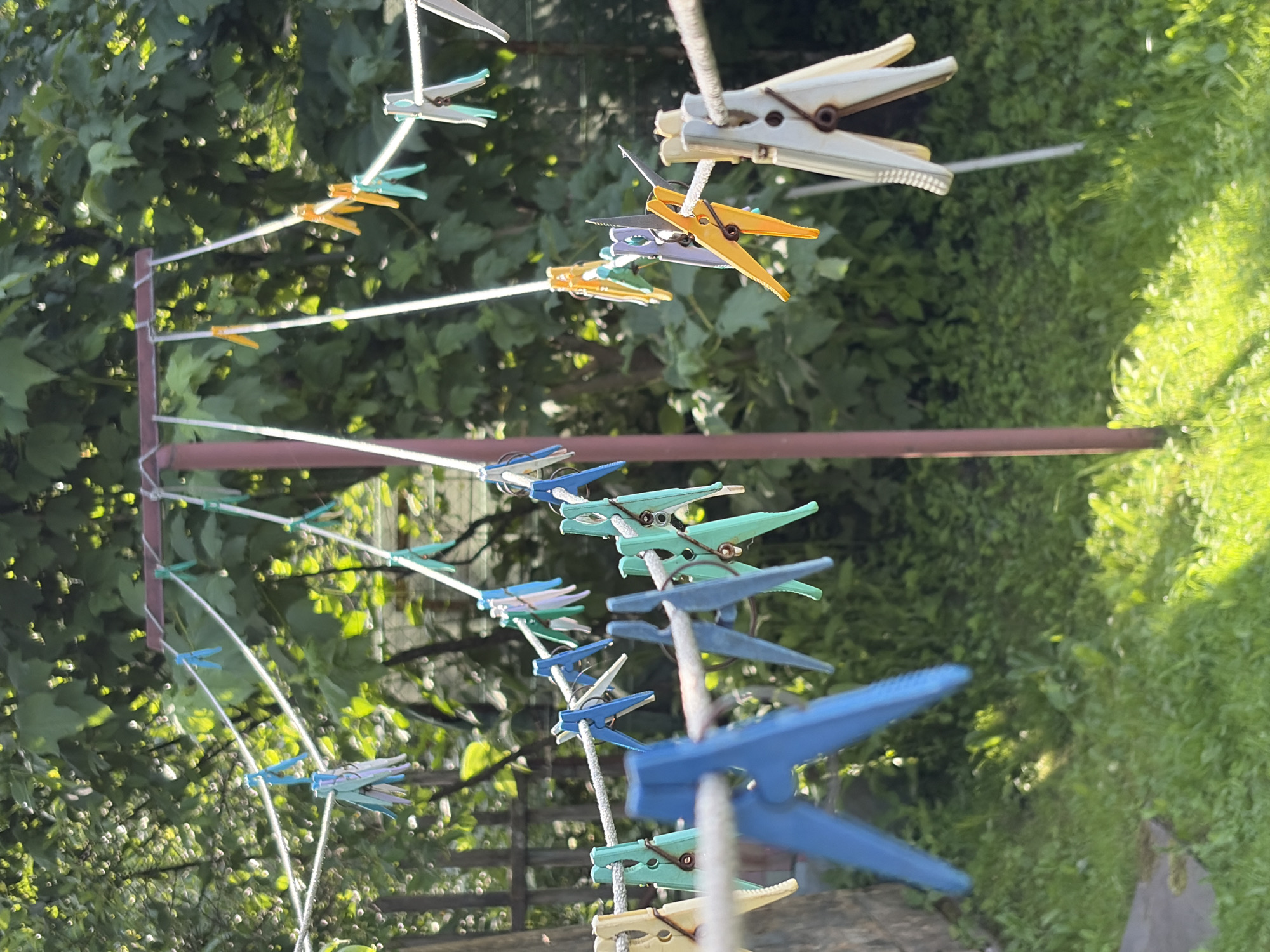 The image depicts a clothesline on a sunny day in the city of Novozavidovskiy, Russia. The clothesline is strung between two poles, with numerous clothespins of various colors, including blue, green, yellow, and white, attached to it. Some clothespins are empty, while others appear to be holding imaginary laundry. The background consists of lush green foliage, suggesting a natural or garden setting. The sunlight creates bright highlights and shadows on the grass and leaves, indicating pleasant weather conditions. The scene is peaceful and ordinary, a common sight in residential areas during warmer months. There are no people visible in the image. The overall impression is one of domesticity and everyday life.