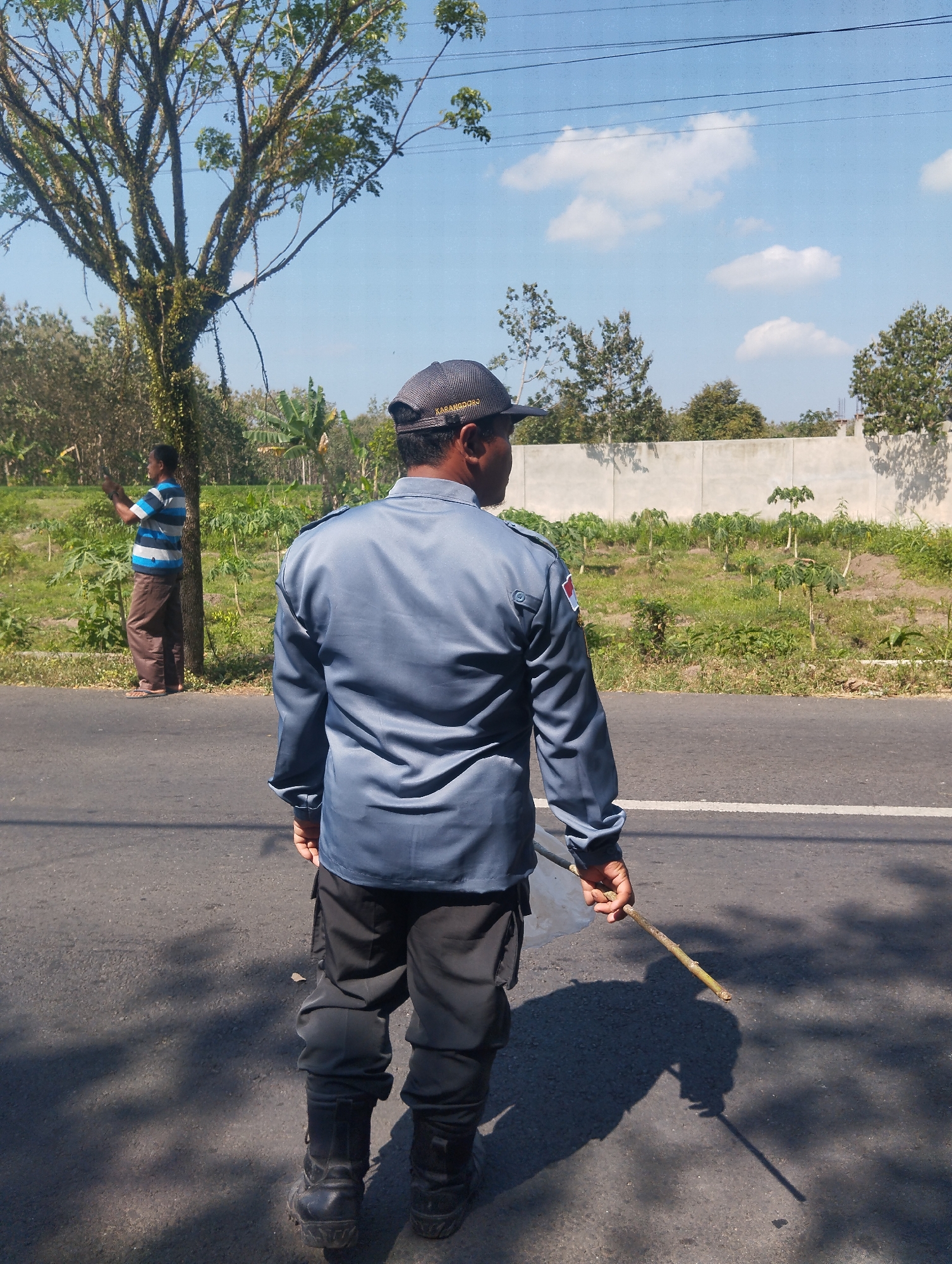 In Karangdoro, Indonesia, two individuals are present on a paved road under a clear blue sky with scattered white clouds. The foreground features a person from the back, wearing a dark grey long-sleeved shirt with a patch on the left shoulder, dark pants, and black boots. They are holding a thin stick in their right hand, with a white plastic bag partially visible near their left hand. Behind this individual, to the left and slightly further back, stands another person wearing a blue and white striped t-shirt and brown pants. This person is facing away from the camera and appears to be holding a stick or tool. The environment includes a large tree with sparse leaves to the left of the frame. Beyond the road, there is an area with green vegetation and some young plants, bordered by a light-colored concrete wall. Electrical wires are visible in the upper portion of the image. The lighting suggests a daytime setting, with distinct shadows cast on the road.