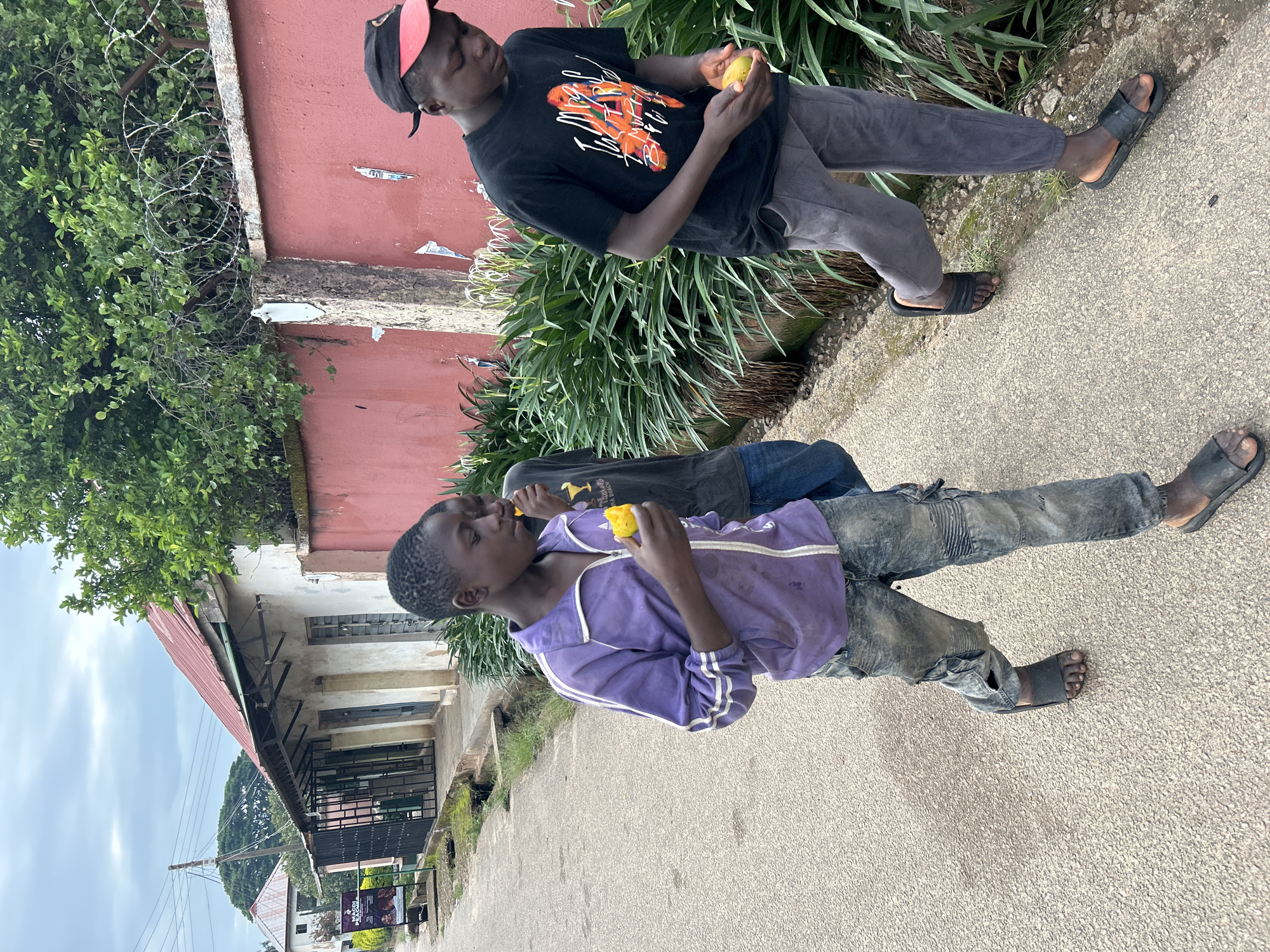 In Jos, Nigeria, three young males walk along a paved pathway under an overcast sky. The leftmost individual, wearing a purple track jacket with white stripes, ripped blue jeans, and dark slide sandals, holds a small yellow fruit to his mouth, appearing to eat it. Partially obscured behind him, a second young male in a dark t-shirt and blue jeans also eats a yellow fruit. The rightmost individual, wearing a backward black baseball cap with a red brim, a black graphic t-shirt, grey sweatpants, and black slide sandals, holds a yellow fruit in his left hand while looking down.
To the left, a single-story building with a red corrugated metal roof and off-white walls is visible, featuring a dark metal gate. Further back, another building and a sign partially reading "MACDI PEACE" are present, along with a utility pole. To the right, a red-painted concrete wall topped with coiled barbed wire runs parallel to the path. Green leafy shrubs and other vegetation line the base of this wall. The paved path shows minor wear and some moss at its edges.