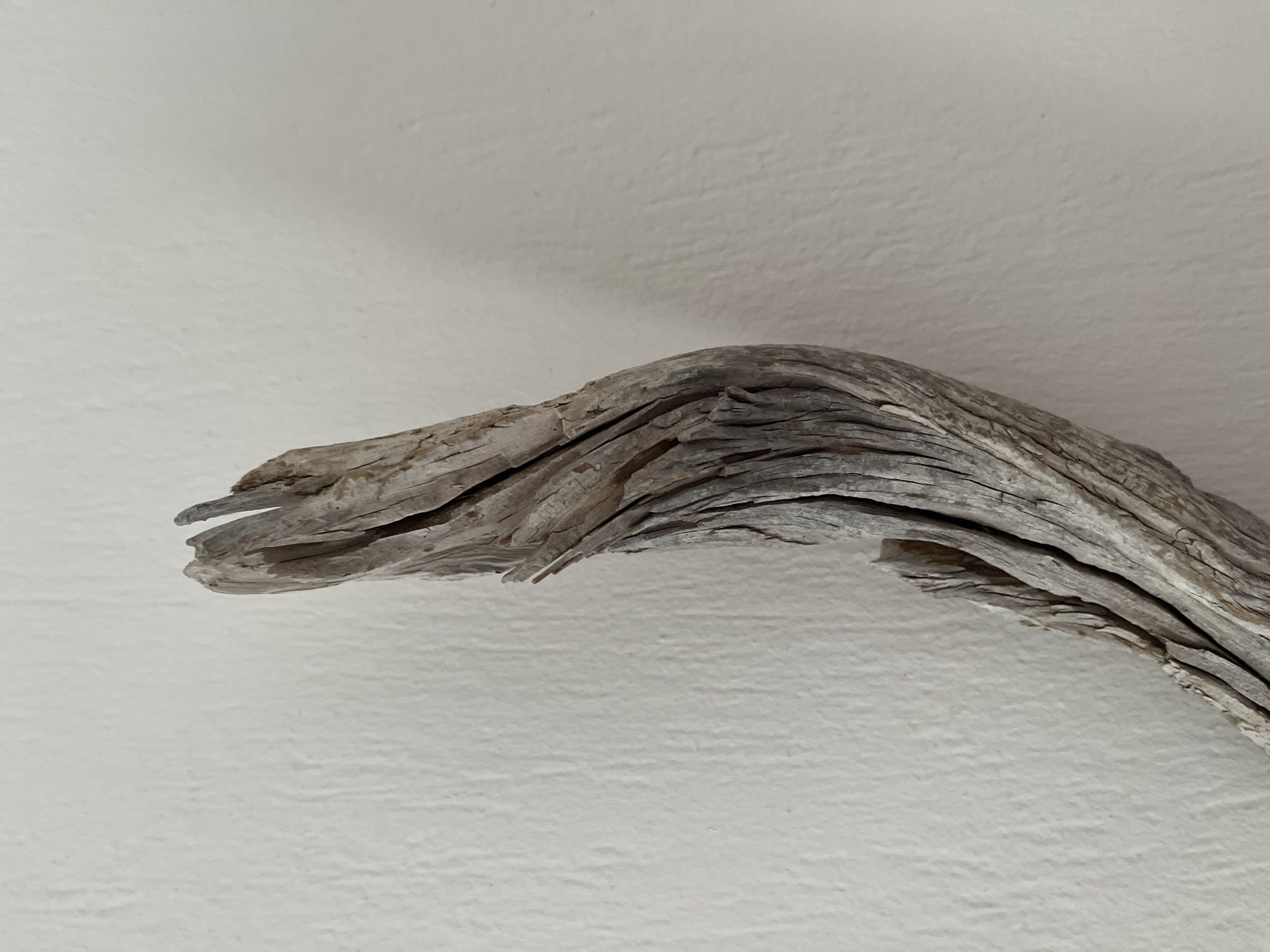 A close-up shot focuses on a weathered piece of driftwood leaning against a textured white wall. The driftwood, in shades of grey and beige, has a rough, split surface with visible grain and cracks, tapering towards the top. The wall behind it is painted a matte white and exhibits a subtle, uneven texture. The lighting casts soft shadows, highlighting the contours of the wood. The image does not contain any people or indicate a specific location within the city of Athens, Greece.