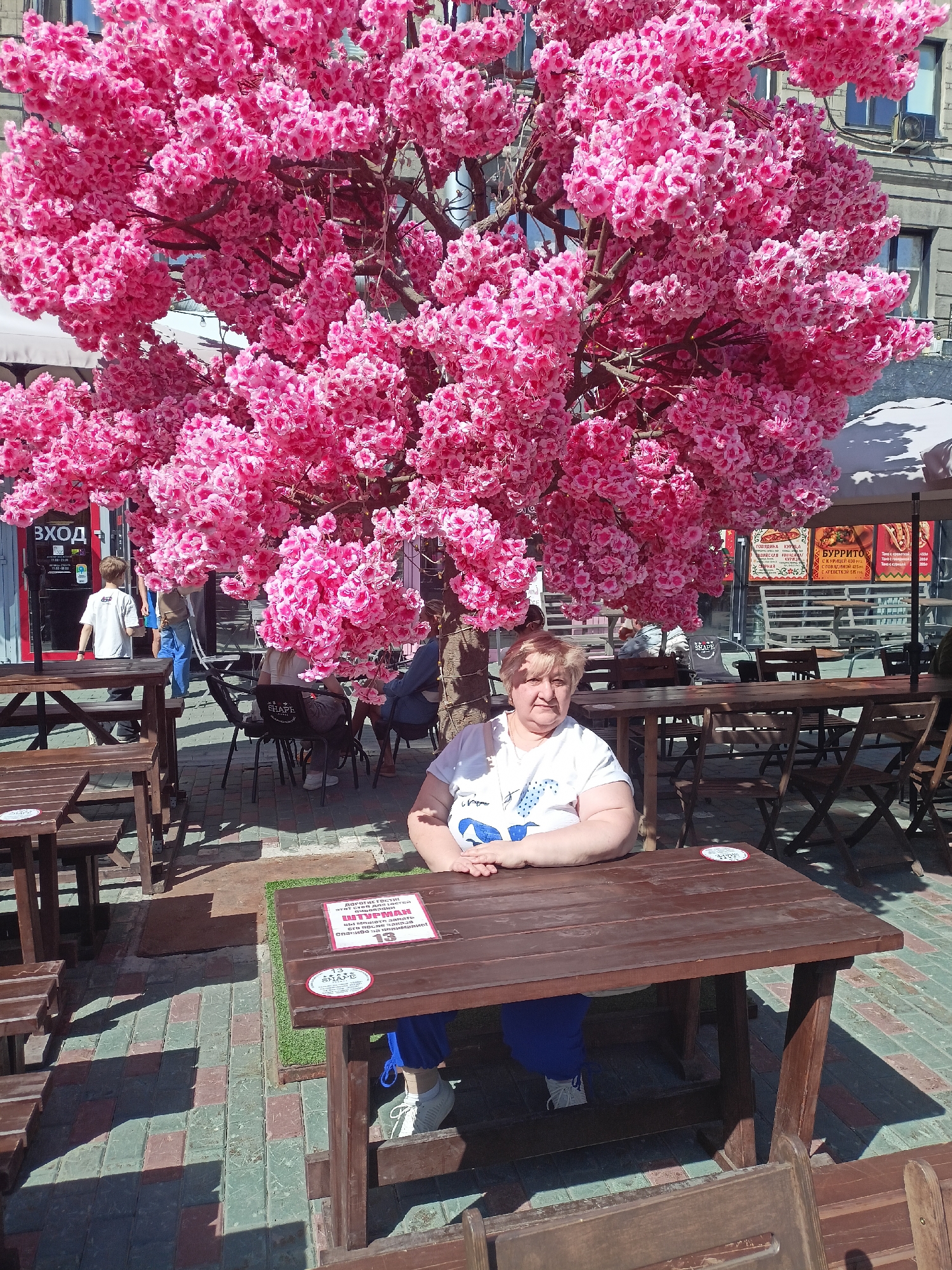 An outdoor cafe scene is captured on a bright, sunny day, likely around midday or early afternoon given the strong shadows. In the foreground, a woman with light-colored hair and a neutral expression sits at a wooden table, wearing a white T-shirt and blue pants. Her hands are clasped on the table before her.
Dominating the upper half of the image is a large, vibrant artificial cherry blossom tree, adorned with dense clusters of pink flowers, creating a decorative canopy over the cafe's seating area. The cafe is furnished with numerous wooden tables and benches, some with chairs, set upon a paved brick ground.
In the background, other patrons are visible; a boy in a white T-shirt walks towards an entrance marked "ВХОД" (Entrance) on a glass door, while other people are seated or standing further back. Urban buildings can be seen in the distance, partially obscured by the tree and cafe structures.
Notable text includes a red sign on the table in front of the woman, which reads "ДОРОГИЕ Гости" (Dear Guests), "ШТУРМАН" (Navigator/Pilot), "вы можете заказать" (you can order), and the number "13." The word "SHAPE" appears on several stickers on tables and a chair. A menu board in the mid-ground advertises "БУРРИТО" (Burrito) with various fillings: "ГОВЯДИНА" (Beef), "КУРИЦЕЙ 400" (with Chicken 400), "С ГОВЯДИНОЙ 425" (with Beef 425), and "КРЕВЕТКОЙ 5151" (with Shrimp 5151). The scene portrays an active outdoor dining area, possibly in a pedestrian zone of Novosibirsk, Russia.