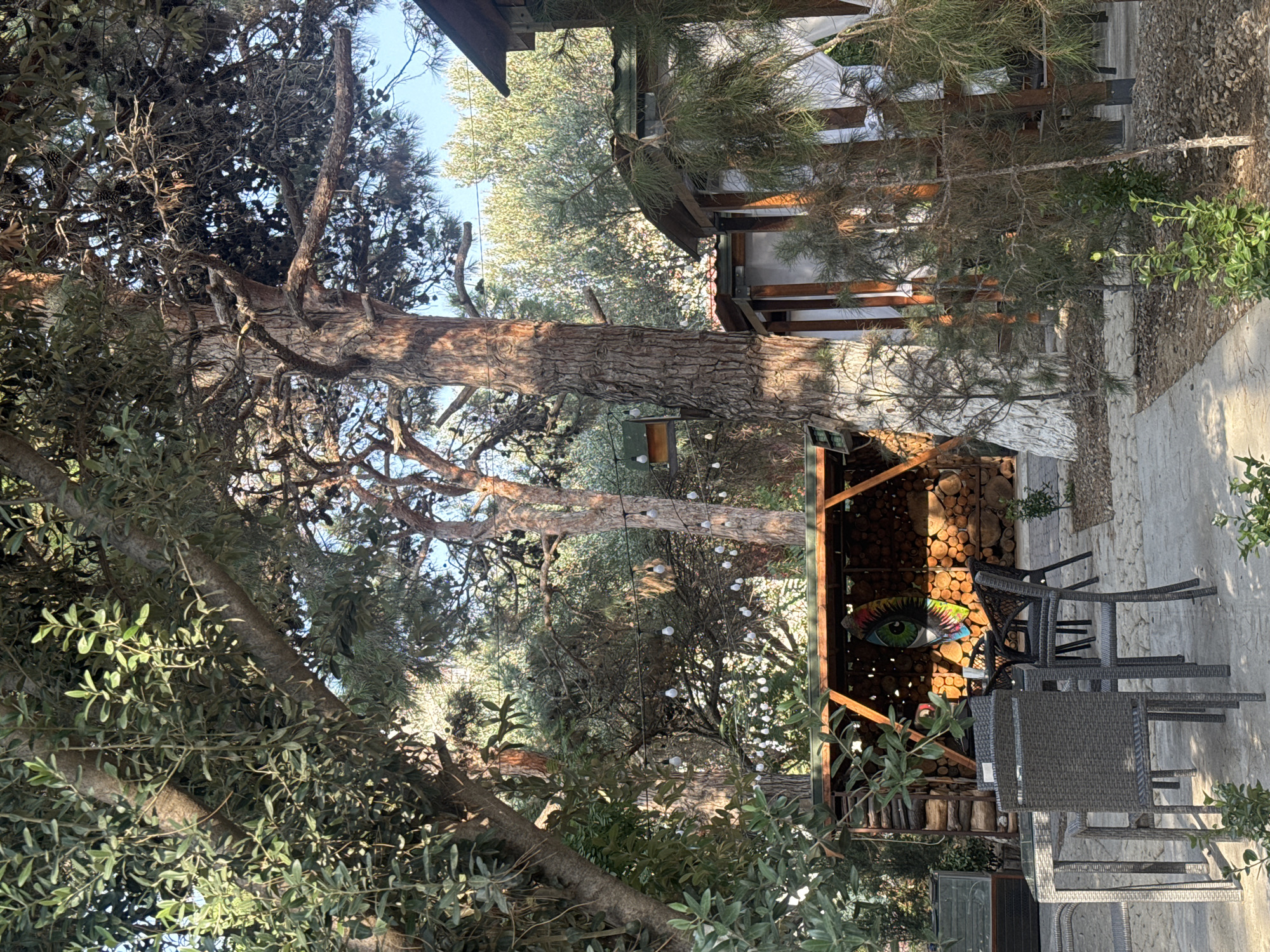 This image depicts an outdoor seating area at what appears to be a restaurant or cafe in Baku, Azerbaijan. The scene is characterized by lush vegetation, including large trees and various shrubs, creating a natural and somewhat rustic ambiance. In the foreground, a patio is furnished with dark grey woven chairs and tables, suggesting a space for dining or relaxation.
Behind the seating area, a wooden structure houses a pile of firewood, with an artistic mosaic or painting of an eye displayed on the wall. The structure is open-sided, and beyond it, more trees and foliage are visible. Further into the background, there are several small, open-air wooden gazebos or huts with white curtains, possibly additional seating or private dining areas. The overall impression is a tranquil, green space offering a respite from the urban environment, likely designed for outdoor leisure. The presence of string lights indicates the area might be illuminated for evening use. The specific location in Baku is not identifiable from the image alone.