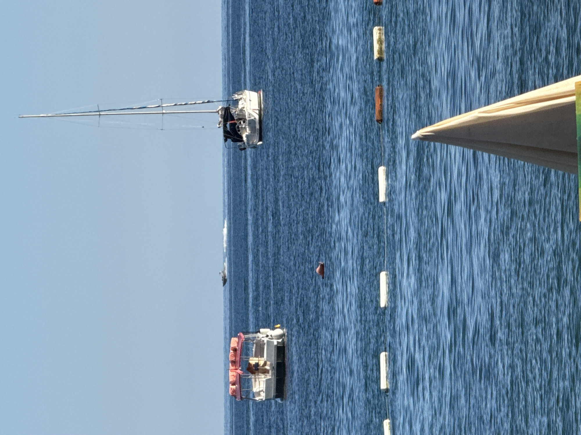 This image captures a serene marine scene on a clear, sunny day in Budva, Montenegro. In the immediate foreground, the folded, beige, conical top of a beach umbrella is partially visible, rising from the bottom edge, with hints of green and orange fabric beneath it. A horizontal line of multiple buoys stretches across the mid-foreground: primarily white rectangular buoys, interspersed with a few discolored, brownish ones, strung together, delineating an area on the water.
The deep blue water, showing gentle ripples, dominates the central and background sections. Two boats are anchored in the midground, with their sterns facing the viewer. To the left, a white motorboat features a red canopy, on top of which several orange life jackets are visible. One or two figures are indistinctly present on board near the stern. To the right, a white sailboat is anchored, characterized by a tall, slender mast with furled sails and a dark cover over its cockpit area. A single orange spherical buoy floats freely between these two anchored vessels. Further in the background, a smaller, dark-colored speedboat is observed in motion, traversing from left to right and leaving a distinct white wake behind it. The distant horizon separates the calm sea from a clear, light blue sky that is devoid of clouds.