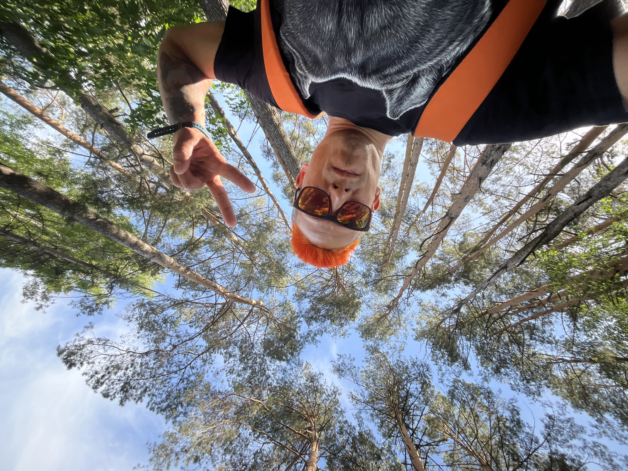 The photo shows a man in a black t-shirt with a gray wolf graphic and an orange harness. He is wearing sunglasses and has orange hair. The photo is taken from a low angle, looking up at the man and the surrounding trees. The man is making a peace sign with his left hand. The background consists of tall trees with green leaves and branches against a blue sky with white clouds. The location is likely a wooded area, possibly in Chaikovsky, Russia.