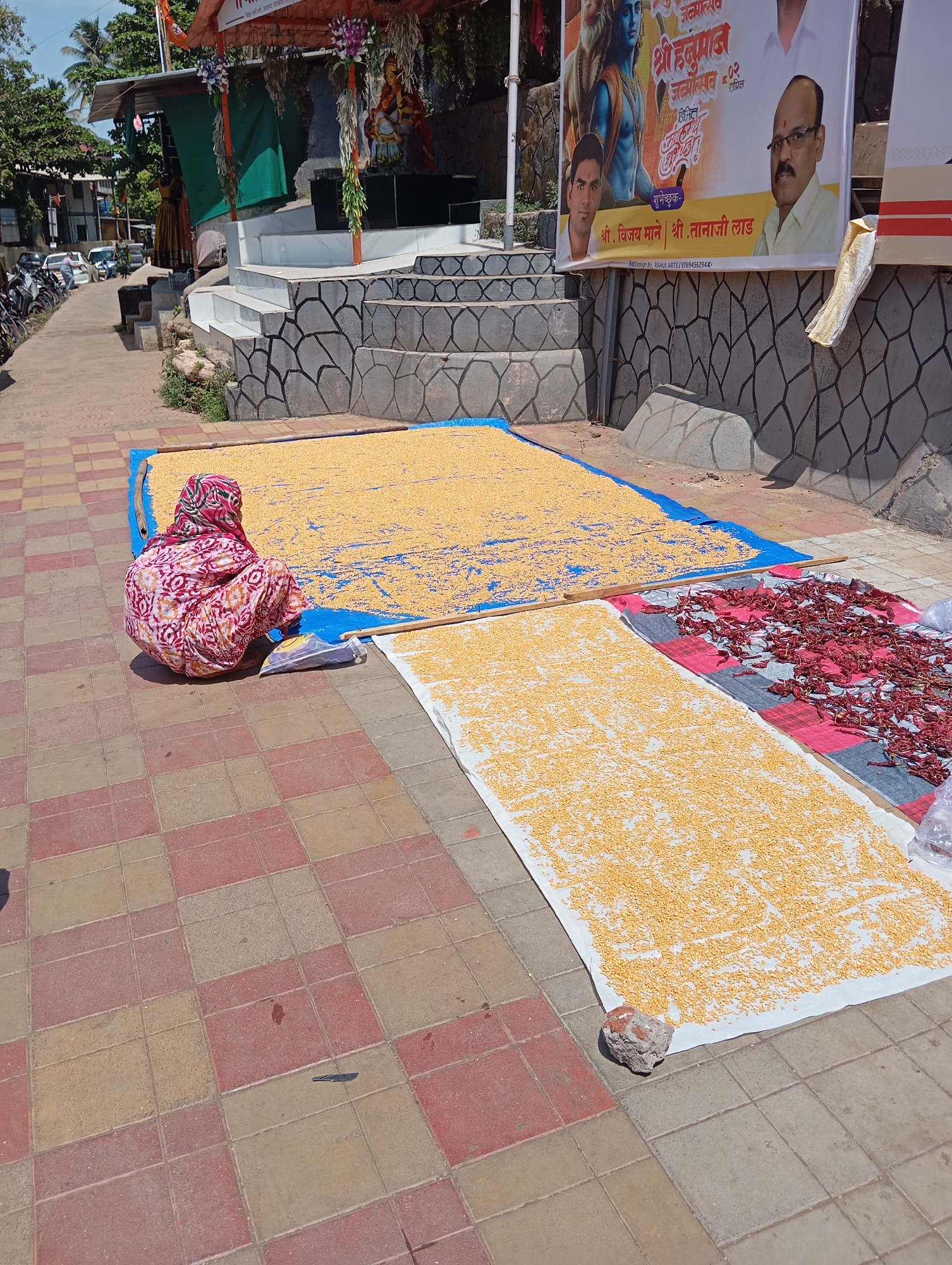 Here is a detailed description of the image:
**Setting:** The image appears to be taken on a sidewalk in Mumbai, India. The ground is paved with red and brown checkered tiles. A small religious shrine or temple structure is visible in the background, with a banner featuring portraits of two men and a Hindu deity (Hanuman).
**Subjects and Objects:**
* **Woman:** A woman wearing a patterned headscarf and a matching dress is crouched on the sidewalk. She appears to be tending to the items laid out on the tarps.
* **Corn and Chilies:** Two large tarps are spread out on the sidewalk. One contains a layer of yellow corn kernels, and the other has a layer of red chilies.
* **Tarps and Covering:** The corn is spread on a blue tarp and white tarp.
* **Other Objects:** A stone is used as a weight on one tarp.
**Actions and Interactions:**
* The woman is engaged in what appears to be drying or processing food items (corn and chilies) on the sidewalk. This is a common practice in India, particularly during the harvest season.
**Environment:**
* The scene is urban, with buildings and parked motorcycles visible in the background. The presence of a shrine suggests a culturally significant location. The sidewalk appears to be a public space that is temporarily being used for food processing.
**Overall Impression:**
The image captures a common street scene in India, where sidewalks are often multi-functional spaces. It is an image of daily life, blending commerce with religious symbolism in a bustling urban environment.