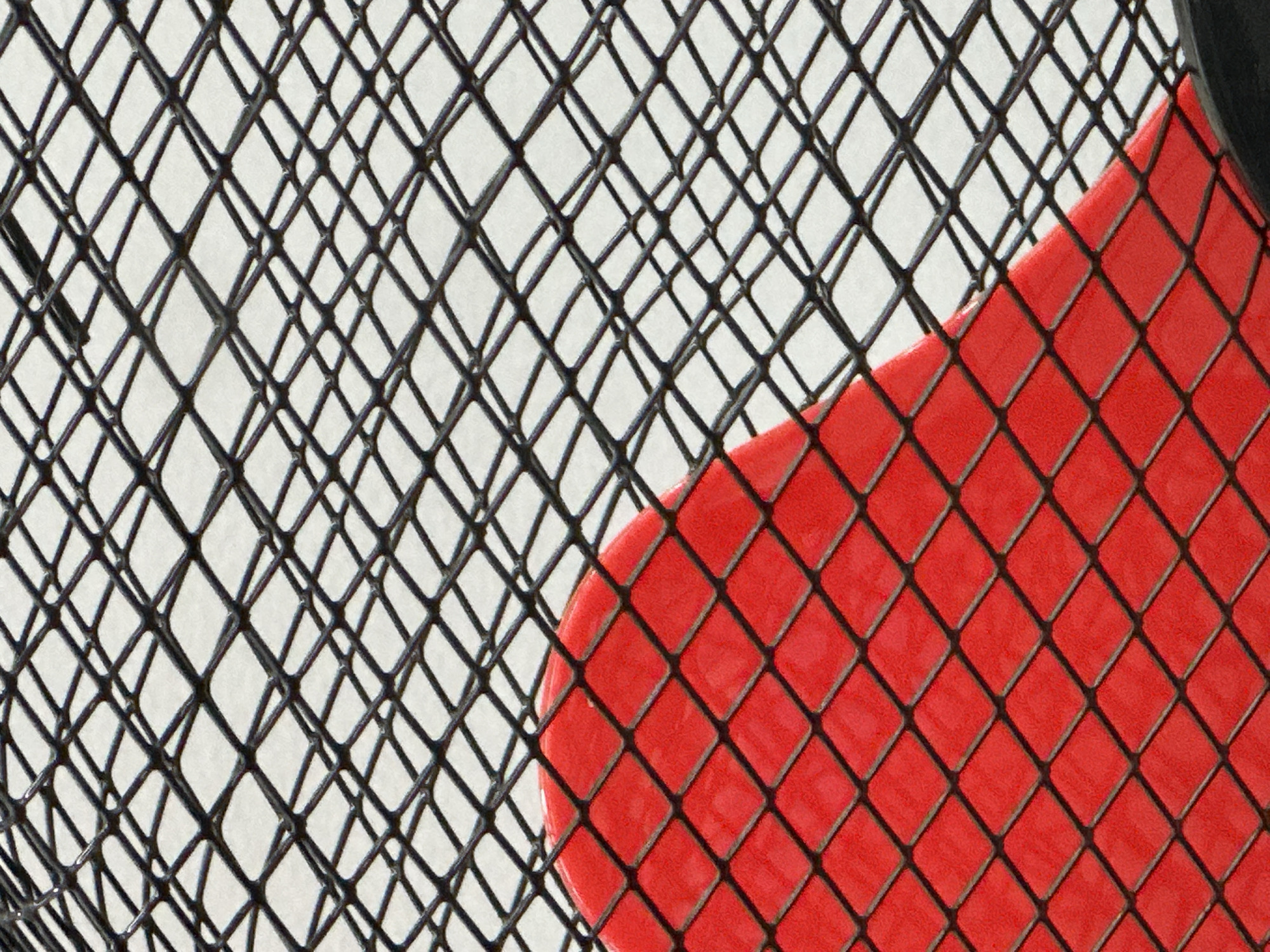 The image shows a close-up view of a black wire mesh overlaying a red object, with a white background visible through the mesh in some areas. The mesh has a diamond pattern. The red object is smooth and opaque, its shape partially obscured by the mesh. The lighting is even, with no harsh shadows. The image does not contain any information that identifies a location or city.