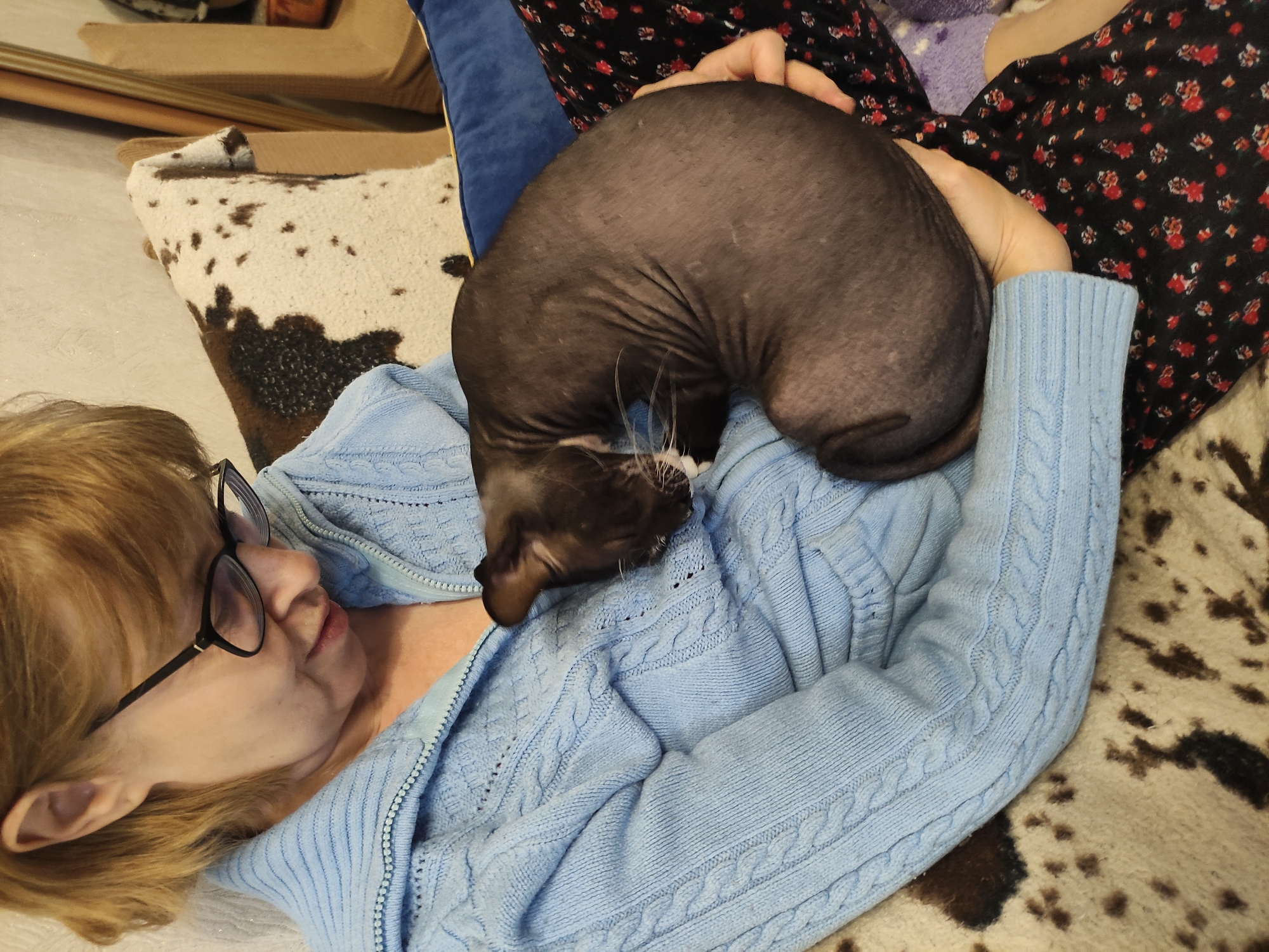 A woman is lying on a patterned surface, possibly a couch or bed, wearing a light blue cable-knit cardigan. She is wearing glasses and is lying on her left side. A hairless cat is curled up on her chest. The woman is wearing black floral print pants. There is a patterned pillow near the woman. There is no information to determine if this is in Pavlodar, Kazakhstan.