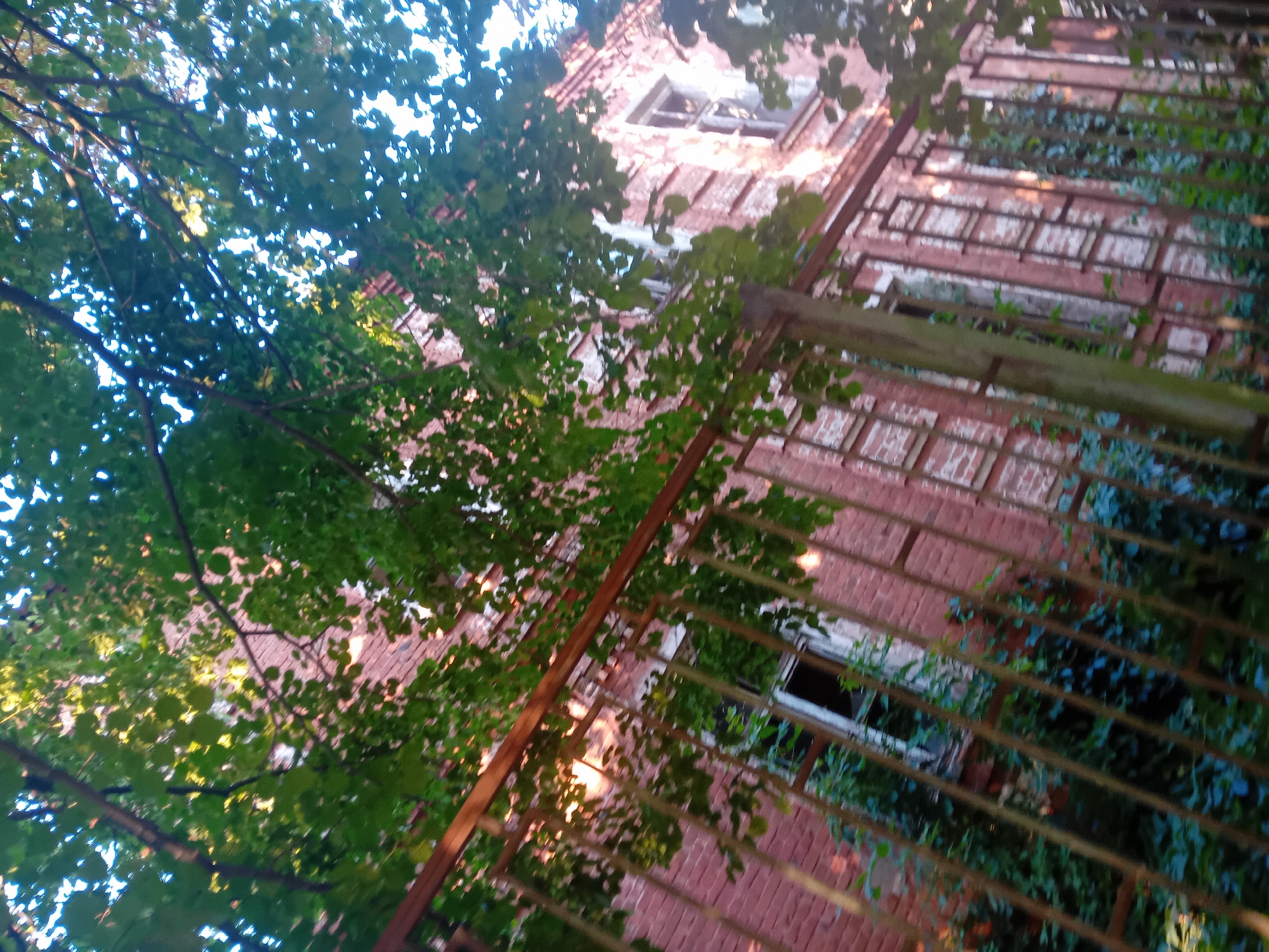 The image shows an abandoned brick building with broken windows, overgrown with ivy, seen through a metal fence and foliage. The building has a classical architectural style with decorative elements around the windows. Sunlight filters through the leaves of trees, casting dappled shadows on the facade. The scene suggests neglect and decay. The location is identified as Chuhuiv, Ukraine.