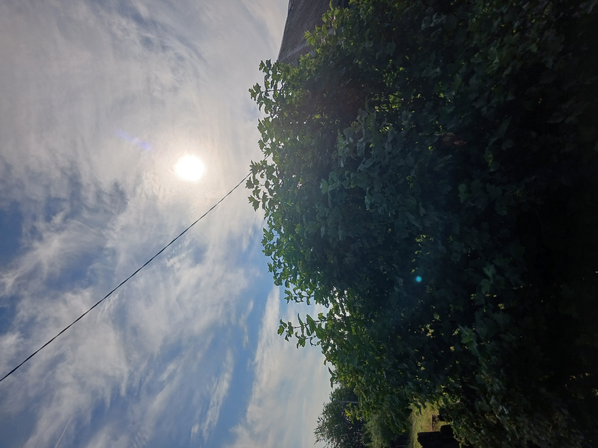 The image depicts an outdoor scene dominated by a large, leafy green bush in the foreground. The bush is dense and casts a dark shadow. Above the bush, a bright sun is visible in a blue sky scattered with wispy white clouds. A dark power line stretches diagonally across the sky. In the background, a portion of a building with a grey, weathered roof is visible to the right of the bush. To the left of the bush, other trees and foliage can be seen. The overall impression is a sunny day in a rural or semi-rural setting. The image was captured in Prokopyevsk, Russia.