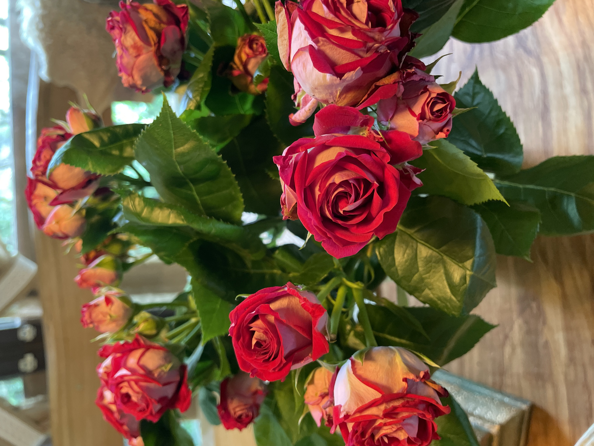 The image shows a close-up view of a bouquet of roses with green leaves, possibly set on a wooden surface. The roses are predominantly red with some lighter-colored edges. Some of the roses appear to be fresh, while others show signs of aging or wilting. The focus is on the flowers, with the background slightly blurred. The light source is natural, with the left side of the image brighter due to a window. The overall atmosphere is natural and domestic, with the subject being flowers. There is no indication of Solokh-Aul, Russia in this image.