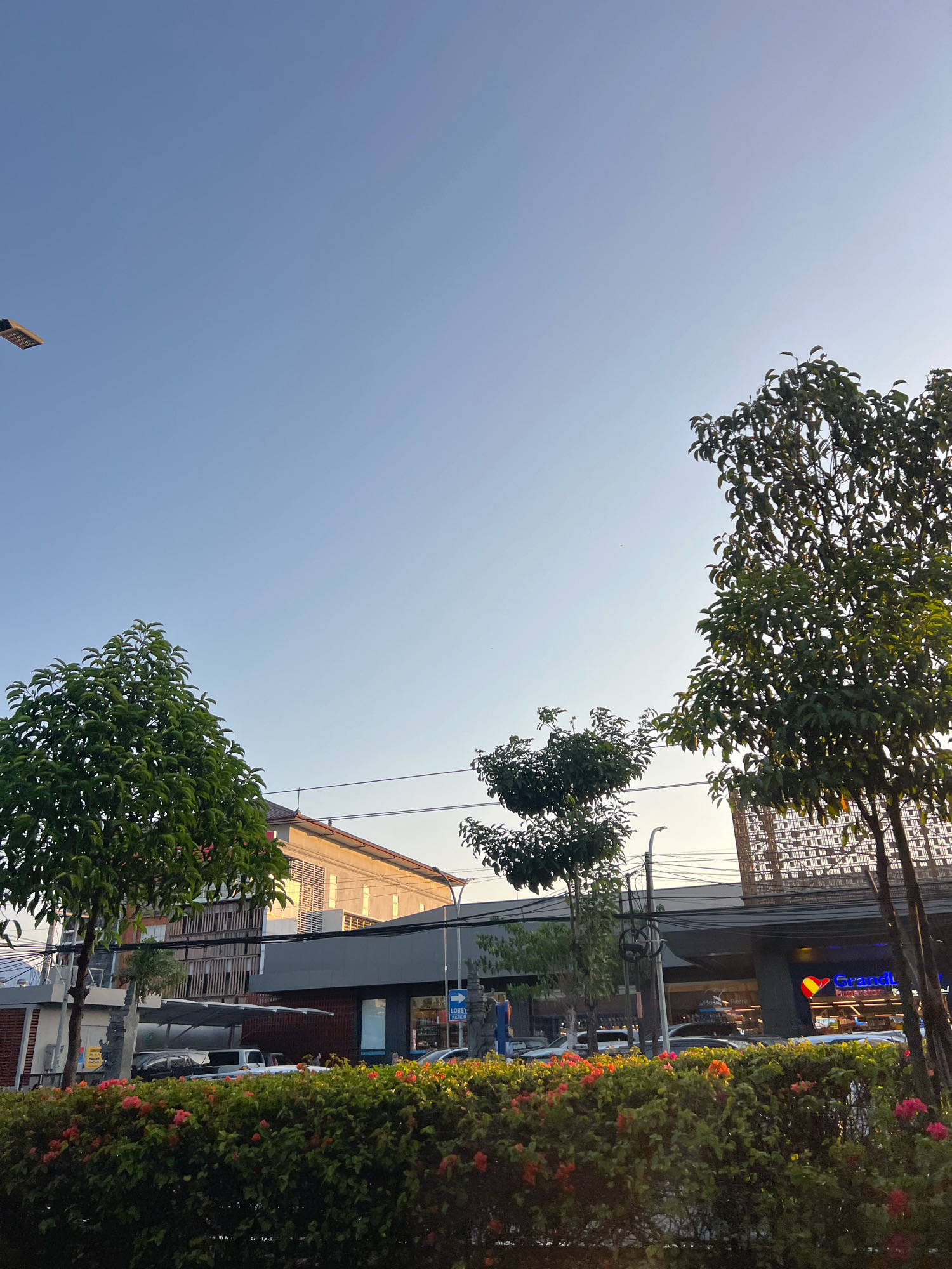 The image captures a street view in Kuta, Indonesia, under a clear blue sky. In the foreground, a dense hedge with small pink and orange flowers lines the street, separating it from the paved area behind. Several trees of varying sizes are visible, with one tall tree on the right and a smaller, fuller tree on the left. Beyond the foliage, a street with cars is visible, and a modern building complex with multiple stories and distinct architectural features, including wooden louvers and metallic cladding, stands prominently. A sign for "Grandji Superstore" with a red and yellow heart logo is visible on one of the lower levels of the building. Power lines crisscross the sky in front of the buildings. A street lamp is also visible. The overall impression is that of a commercial area in Kuta during daylight hours.