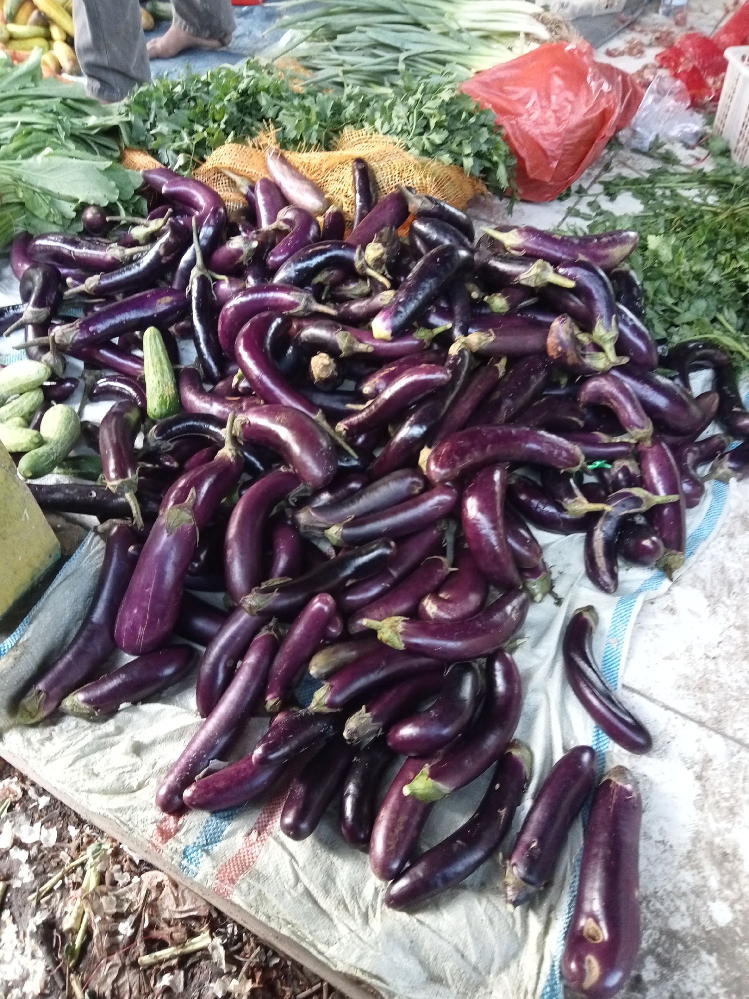 The image displays a street market scene in Ujung Tanjung, Indonesia, with a prominent pile of fresh eggplants as the main subject. The eggplants, predominantly deep purple, are arranged in a jumbled fashion on a white and blue striped cloth spread over the ground. Some eggplants have green stems still attached. To the left of the eggplants, a small pile of light green cucumbers is visible, along with a yellow object. Behind the eggplants, leafy green vegetables are spread out, and a red plastic bag is also present, suggesting a typical market stall. In the background, portions of a person's legs, clad in grey pants, and a bare foot are visible, indicating the presence of a vendor or shopper. The ground around the market stall appears to be dirt and debris.