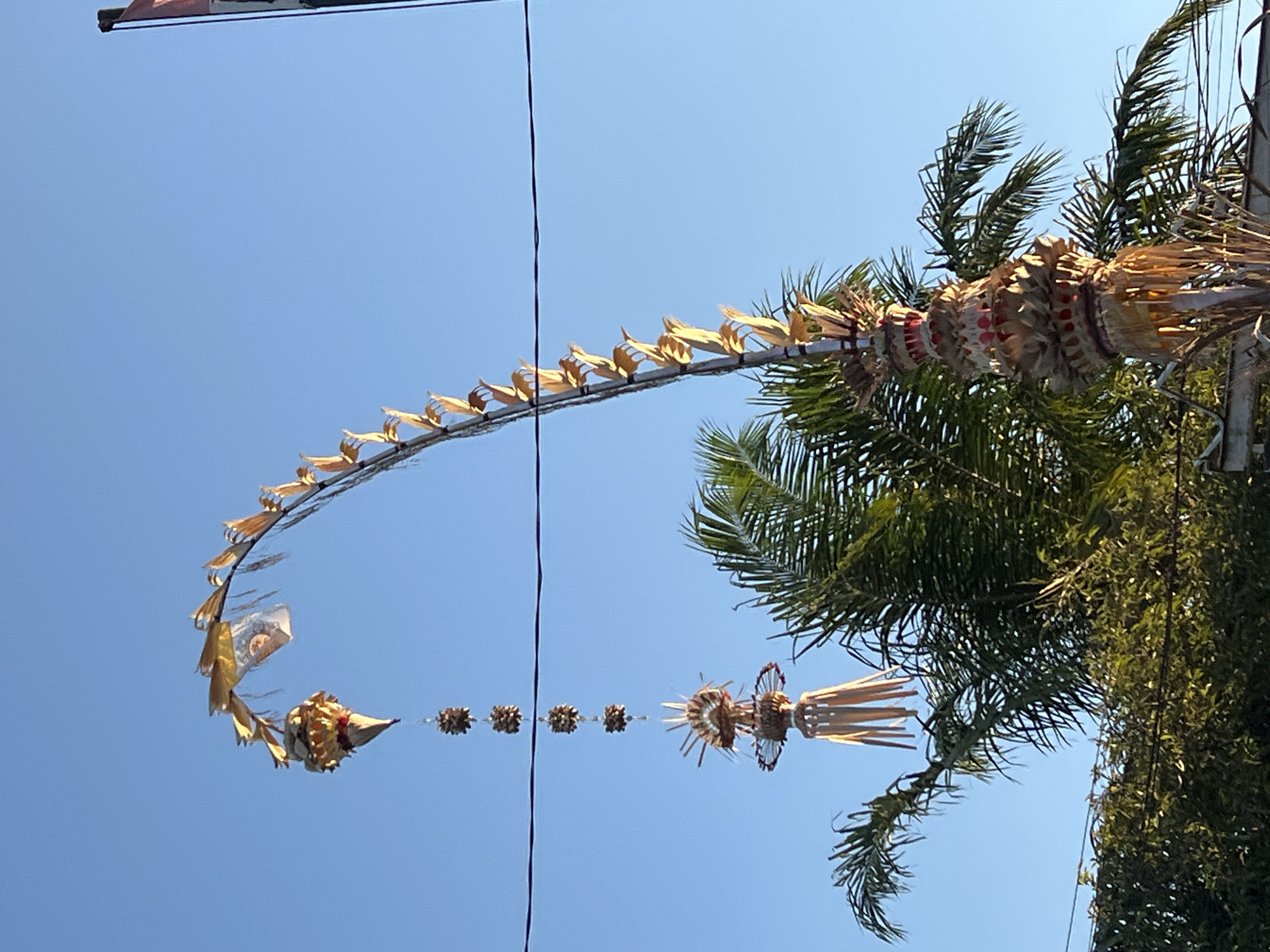 An elaborately decorated bamboo and palm frond structure, known as a Penjor, arches against a clear blue sky in North Kuta, Indonesia. The Penjor, a traditional Balinese offering, is adorned with hanging ornaments and intricately woven palm leaves that form layers and a conical top. Green palm trees and dense foliage are visible below the Penjor, partially obscuring the lower portion of the structure. A flag on a pole is visible in the upper right corner of the image. Two black wires traverse the sky horizontally. The sunlight casts a warm glow on the golden-hued decorations of the Penjor.