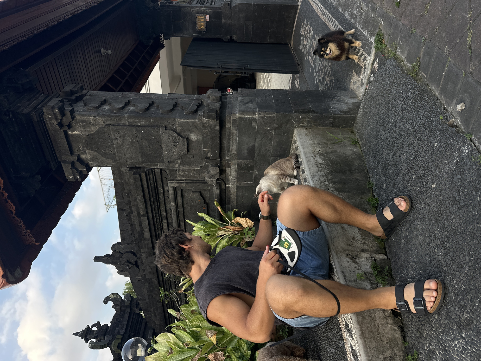In North Kuta, Indonesia, a man in a sleeveless dark t-shirt and denim shorts crouches on a stone step near lush green plants. He is interacting with a light brown and grey tabby cat resting on the step beside him. In his hand, he holds a white retractable dog leash. To his left, a fluffy brown dog stands on a stone pathway. To the right, a small black and tan dog with its tongue out is positioned on a decorative stone pathway in front of a dark wooden gate. The background features a traditional Balinese-style stone building with intricate carvings and a red-tiled roof. The sky above is cloudy.