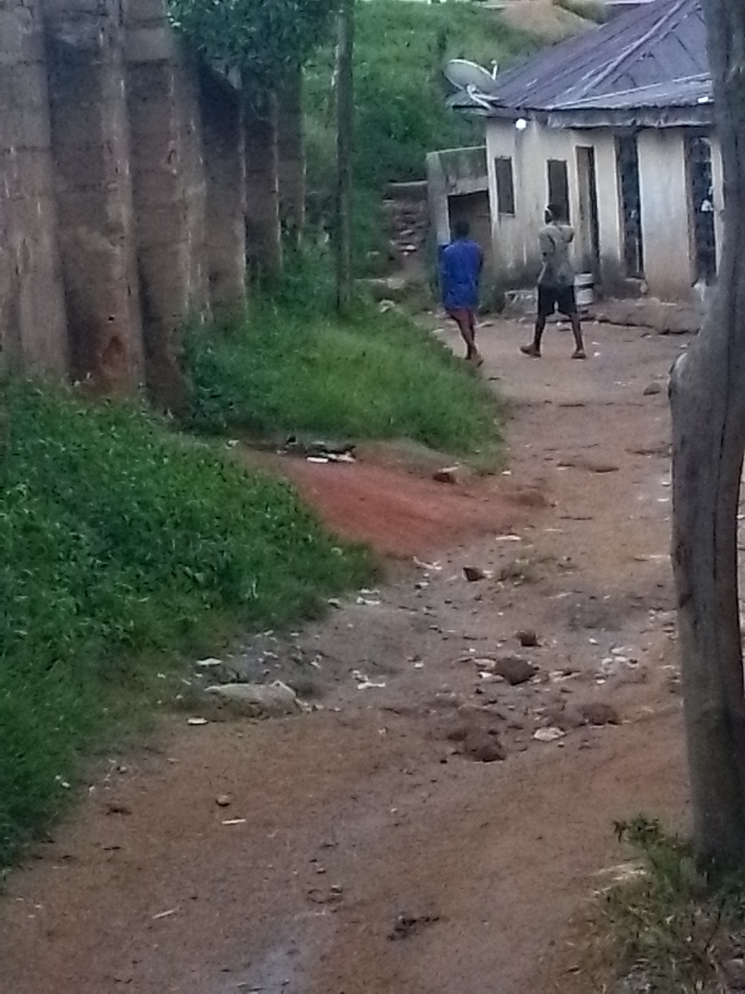 The image depicts an outdoor scene in Jos, Nigeria, focusing on a dirt path leading towards a building. The path is uneven and appears to be a communal area within a neighborhood.
On the left side of the image, a row of tall, rectangular structures, possibly pillars or part of a wall, are visible. They are made of a rough, textured material, and there is green grass growing around their base and in patches along the path.
In the background, a modest building with a dark, sloped roof and light-colored walls is prominent. A satellite dish is mounted on the roof. There are several windows and doorways visible on the building's facade.
Two individuals are present on the path. The person on the left is wearing a blue top and red shorts. The person on the right is wearing a grey t-shirt and dark shorts. Both are facing away from the camera, walking towards the building. The person on the right appears to be holding something or gesturing with their hands.
The overall environment suggests a residential area, possibly in a developing part of the city. The lighting indicates it may be late afternoon or early evening. The ground is a mix of dirt, small stones, and some scattered debris.