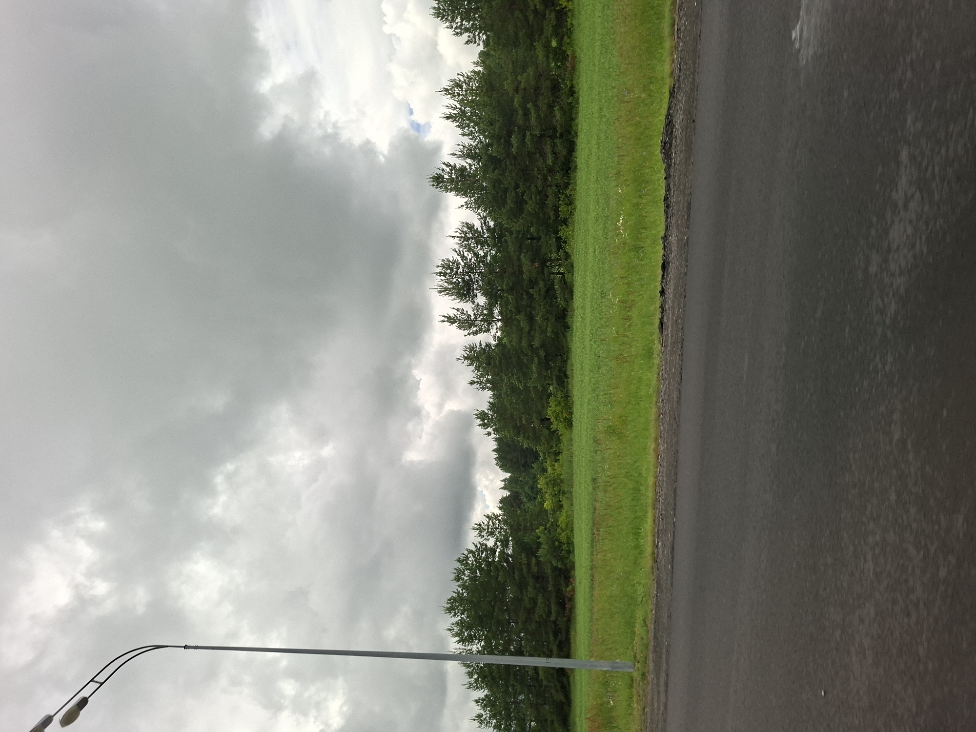 The image depicts a rural roadside scene with a dense line of pine trees bordering a bright green field under a cloudy sky. A tall, slender lamppost stands to the left, its curved arm holding two lights. The foreground is dominated by a dark asphalt road, appearing wet and slightly textured, suggesting recent rain. The field behind the road is lush with grass and some scattered wildflowers. The forest edge is a solid wall of dark green pine trees. The sky is heavily overcast with large, grey clouds, creating a subdued, diffused light. The location is identified as Vorob'evka, Russia. There are no people or animals visible in the frame, and no discernible actions or interactions are taking place. The scene is static and environmental.