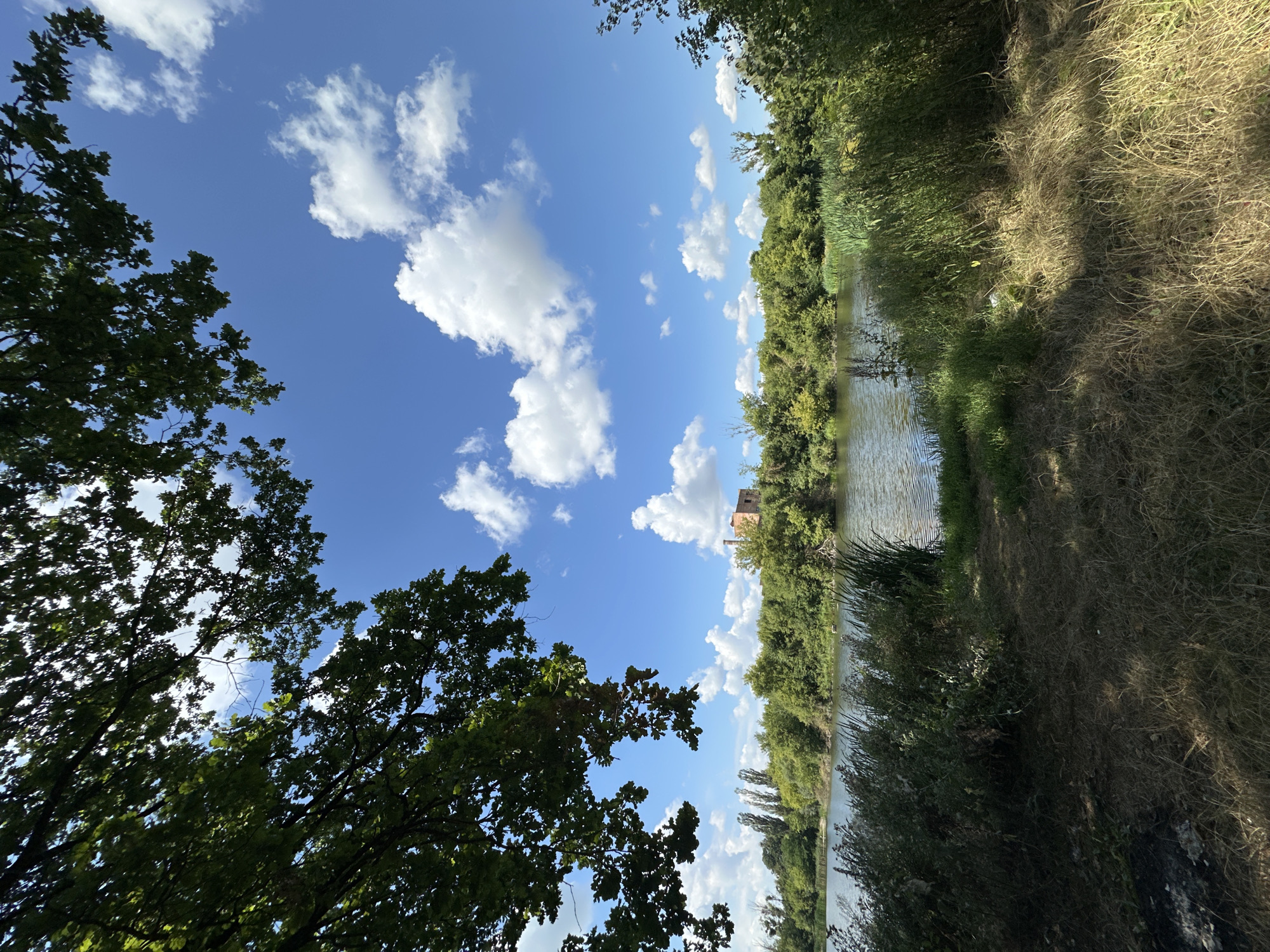 An outdoor, wide-angle, ground-level shot depicts a tranquil waterfront scene with a brick building in the distance, under a bright blue sky with scattered white clouds. The foreground is dominated by dry, sun-drenched grass and a patch of dark soil on the left. Tall, green reeds and other vegetation line the edge of a calm body of water. Across the water, a dense line of green trees forms the horizon, with a distinctive, weathered brick structure situated atop the elevated bank, to the right of center. This structure appears to be an old industrial building or factory with a prominent smokestack. The branches of a large, leafy tree overhang the top left of the frame, casting dappled shadows. The location is identified as being in Makiv, Ukraine.