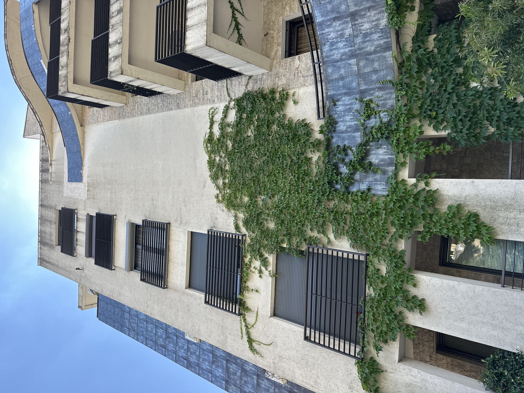 The image depicts the facade of a modern building in Budva, Montenegro, featuring a striking contrast between architectural elements and nature. The building's exterior is a textured white plaster, punctuated by dark-slatted windows and balconies. A vibrant green vine extensively covers a significant portion of the facade, cascading down from the upper levels and embracing the windows. The architectural style is contemporary, with curved balconies and geometric accents, one section of the building showcasing a dark, textured cladding. The sky above is clear and blue, suggesting a sunny day. The composition is a low-angle shot, emphasizing the height and verticality of the building. No people are visible in the image. The scene appears to be an exterior view of a residential or commercial building in an urban setting.