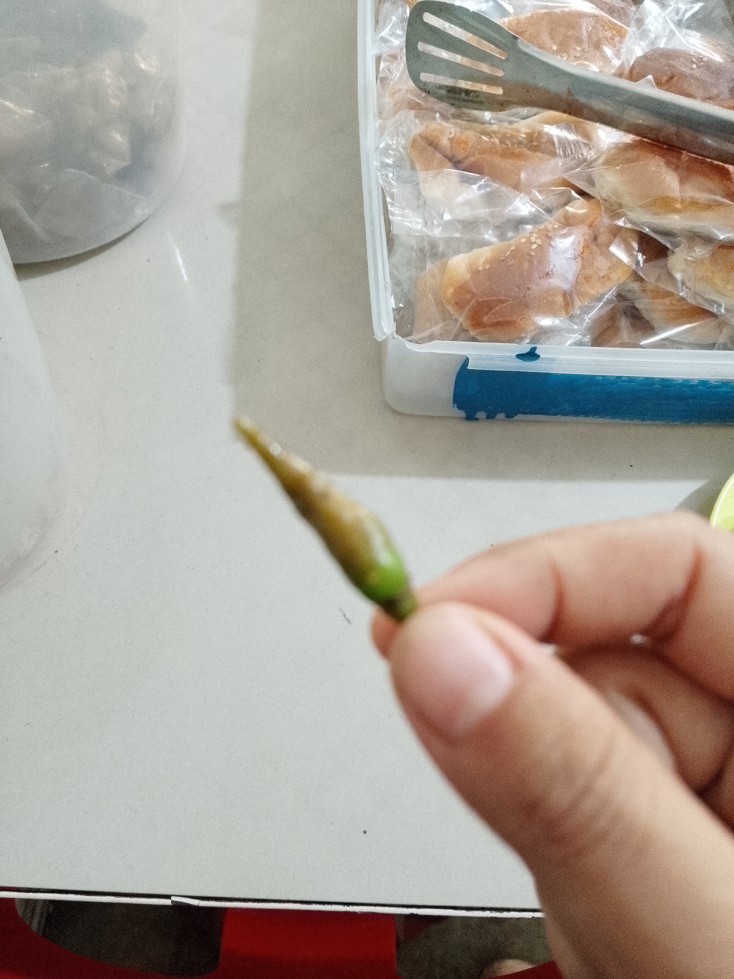 The image shows a close-up of a hand holding a small green chili pepper. In the background, a clear plastic container filled with what appear to be small baked goods, possibly bread rolls sprinkled with sesame seeds, is visible. A metal tong is resting on top of the baked goods. A plastic bag, likely containing food items, is partially visible on the left side of the frame. The scene appears to be indoors, on a table or countertop. The image does not provide any information to determine its location in Lhokseumawe, Indonesia.