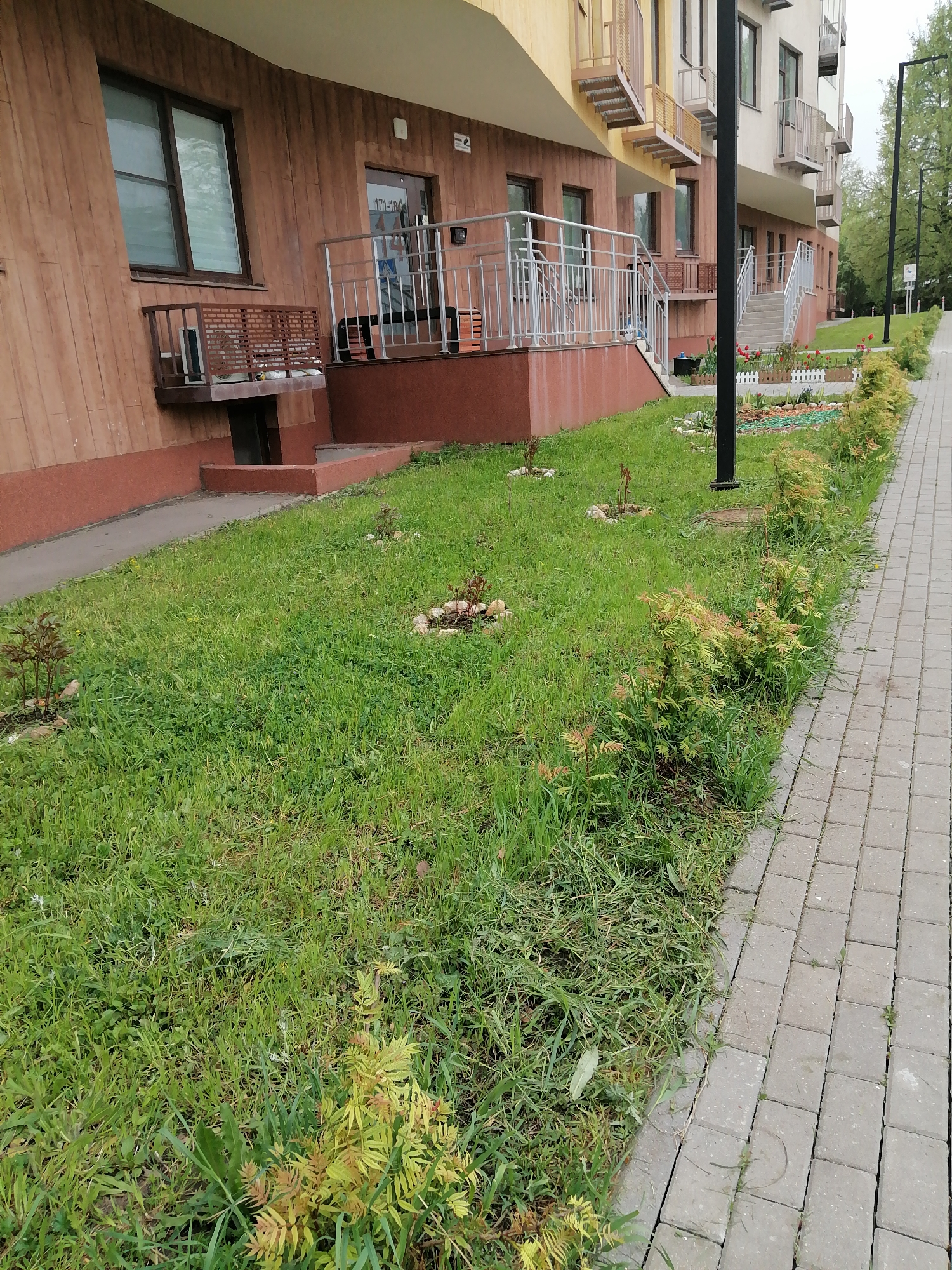 The image depicts a sidewalk abutting a grassy area in front of a low-rise building. The building has a brown, wood-paneled facade with windows and a door marked with "171-184". There is a small, elevated terrace or porch with a metal railing in front of the door. The grassy area has sparsely planted small bushes or shrubs, some with decorative rocks around them. A black lamppost stands in the grass near the sidewalk. The sidewalk is paved with grey rectangular blocks. The location appears to be in an urban environment.