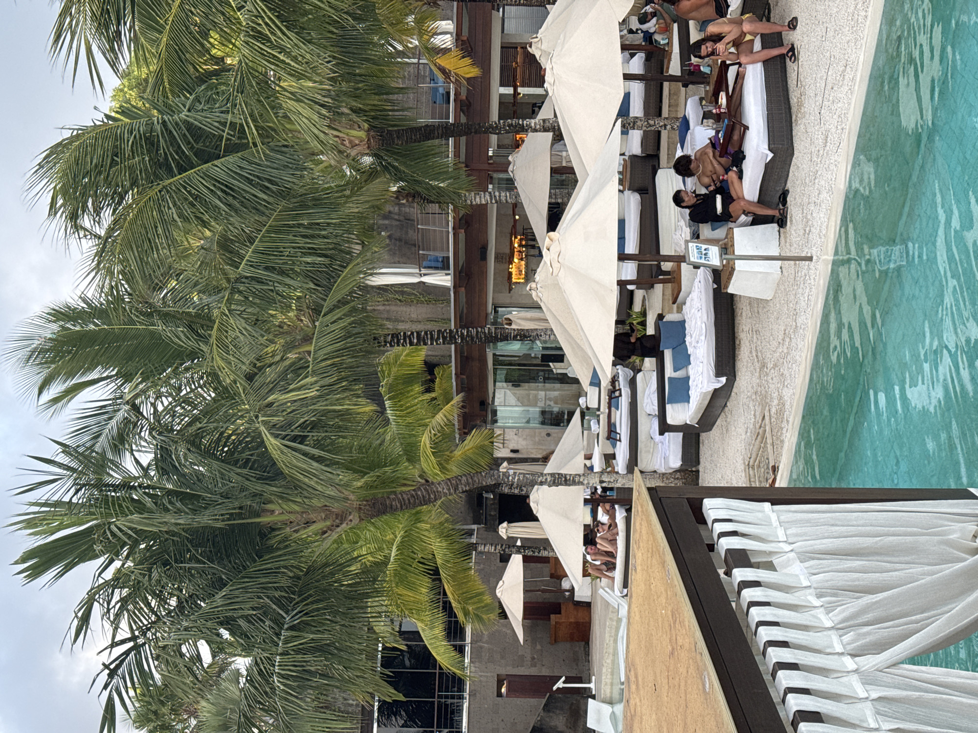 A horizontal medium shot captures a tropical poolside scene in an unknown city. The pool's turquoise water fills the right side, reflecting the sky and surroundings. Adjacent to the pool, sun loungers are arranged under white umbrellas, some occupied by people in various attire. Palm trees sway in the foreground and background, adding to the tropical ambiance. Buildings with glass facades and wooden elements line the backdrop. An awning with white fabric drapes is visible in the foreground, adding a touch of luxury to the setting.