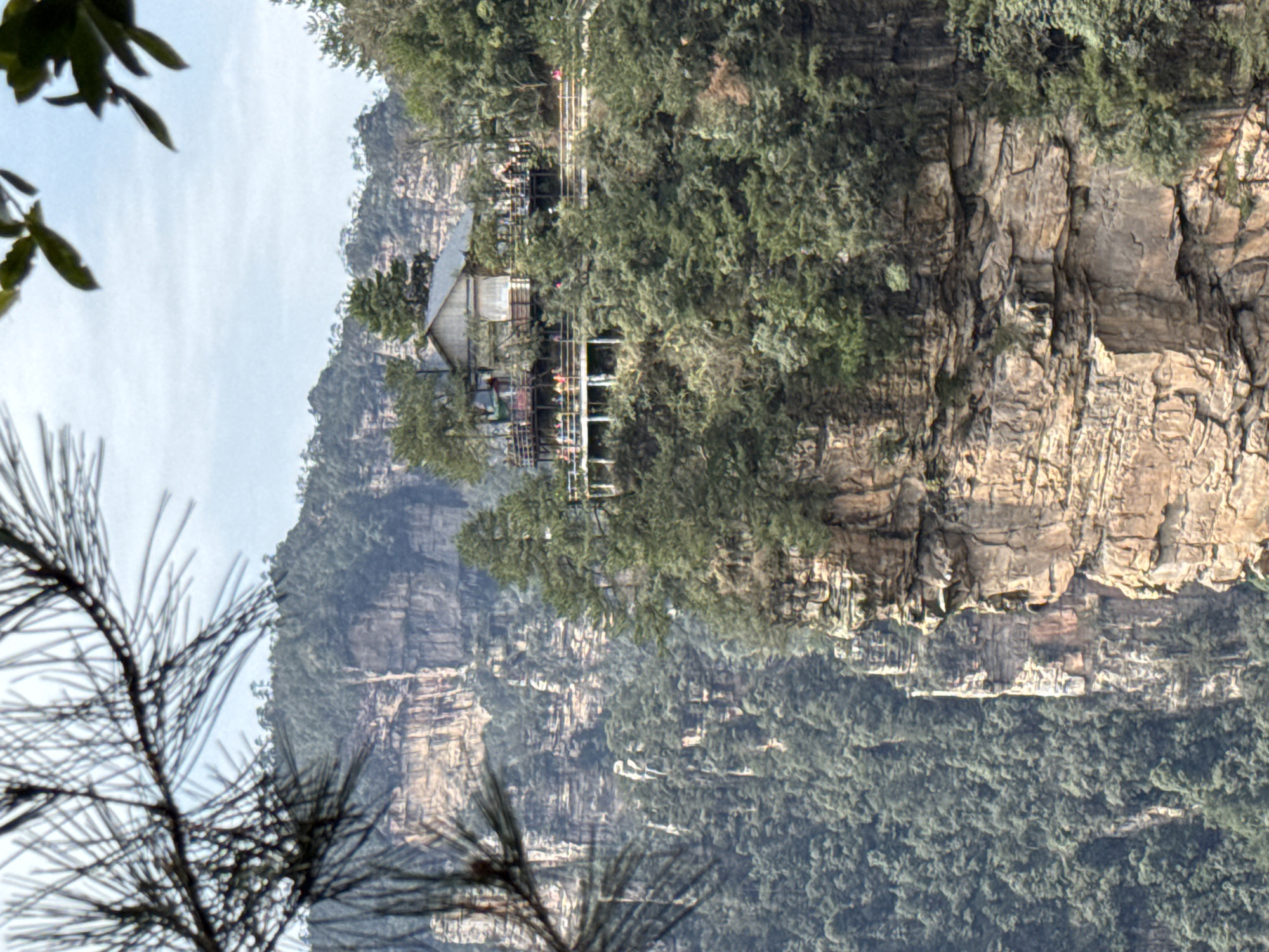 The image displays a high-angle view of a mountainous landscape in Luoguta, China, centered on a multi-level wooden structure perched on a cliff edge. In the immediate foreground, out-of-focus pine branches and green leaves partially frame the top left and top right of the composition.
The primary subject is a light-colored, multi-story wooden building with a grey, gabled roof, situated atop a rugged, tree-covered cliff. The building is surrounded by extensive wooden observation decks and walkways, secured by railings, that extend along the cliff face. Approximately 30-50 individuals are visible on these platforms, standing and walking, appearing as small figures due to the distance.
Below the structure, the cliff face drops sharply, revealing exposed strata of light brown and grey rock formations interspersed with dense green trees and vegetation. Layers of similar, heavily forested mountain peaks and prominent vertical rock pillars extend into the background, creating a vast, undulating landscape. The sky above is a light blue with scattered clouds.