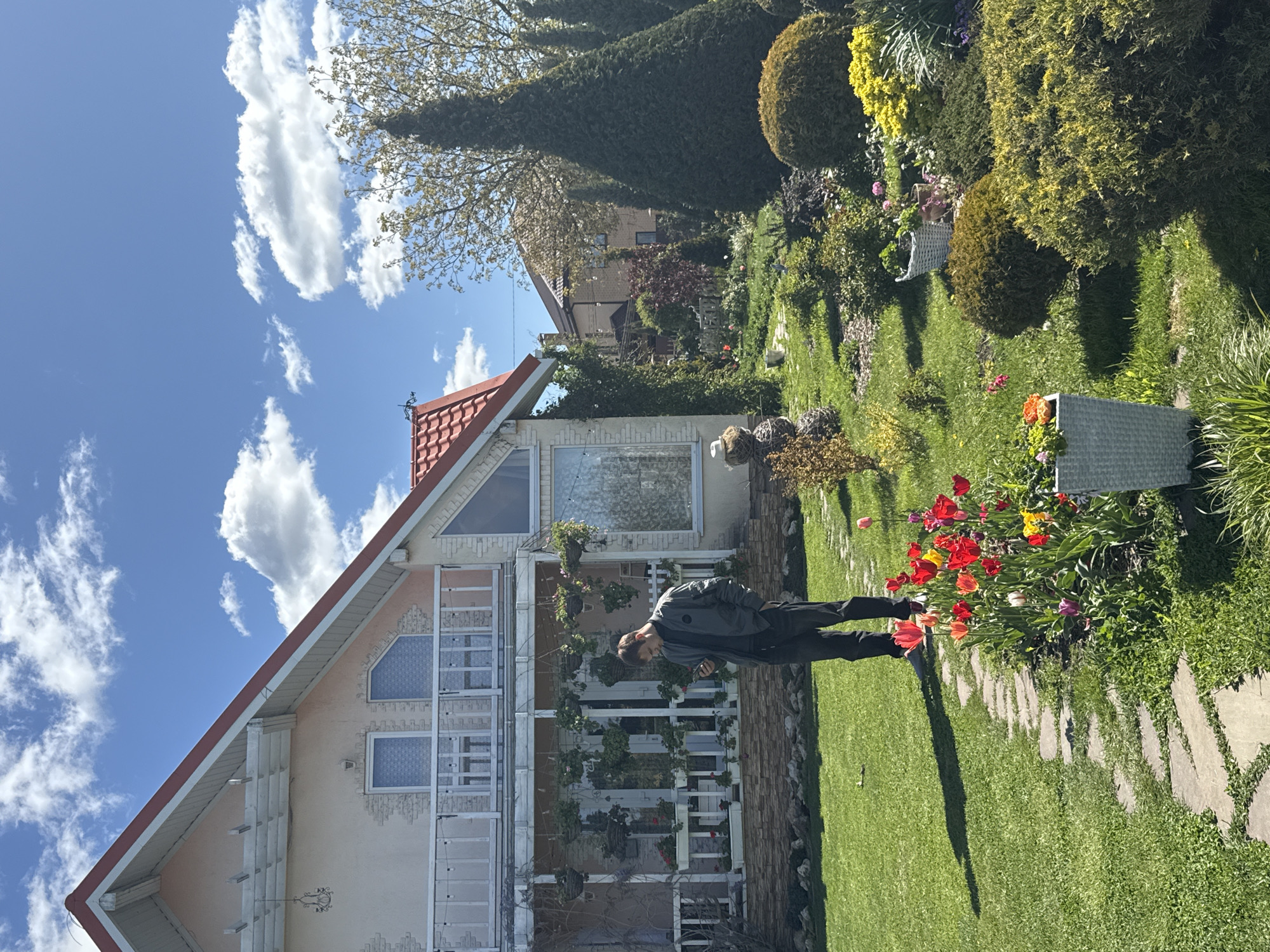 The image presents a vibrant and well-maintained garden scene on a sunny day in Pervorechenskoye, Russia. A two-story house with a distinctive red-tiled gabled roof and light-colored walls dominates the left side of the frame. The house features several windows, some with decorative patterns, and a charming balcony or porch on the lower level adorned with white railings and hanging flower baskets.
In the foreground, a lush green lawn is meticulously kept, with an irregular stone pathway winding through it. A man, dressed in a dark jacket and trousers, stands on the lawn, seemingly looking down towards a vibrant bed of tulips, which display bright red, yellow, and purple blooms. A white woven planter is also visible amidst the flowering plants.
The garden is rich with diverse foliage, including various shrubs, some shaped into spherical topiaries, and tall evergreen trees forming a dense backdrop on the right. A large deciduous tree with fresh green leaves is visible in the upper part of the image. The sky is a clear, bright blue with scattered fluffy white clouds, indicating pleasant weather. The overall impression is one of tranquility and beauty, characteristic of a flourishing spring garden. No visible text is present in the image.