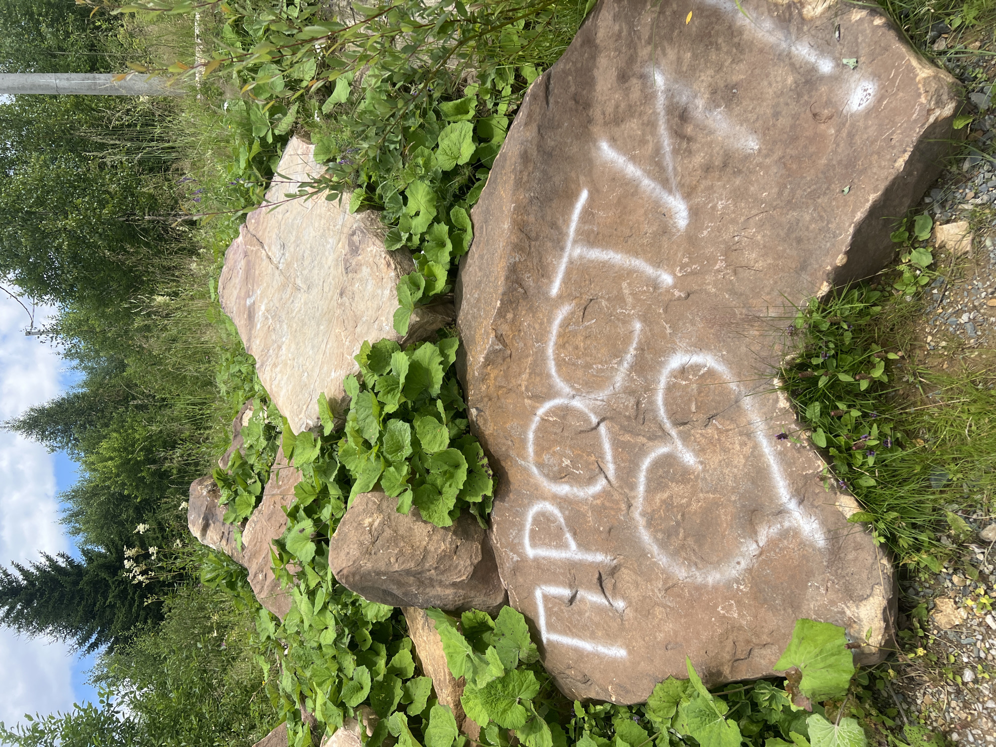 The image depicts a large, reddish-brown boulder in an outdoor, natural setting, likely a park or wilderness area in Gubakha, Russia. The boulder is inscribed with white spray paint, forming the Cyrillic letters "ПРОСТ" and a stylized heart shape. Green foliage, including large-leafed plants and grasses, surrounds the boulder, with trees visible in the background under a partly cloudy sky. The ground is covered with small stones and gravel. There are no people or animals visible in the image.