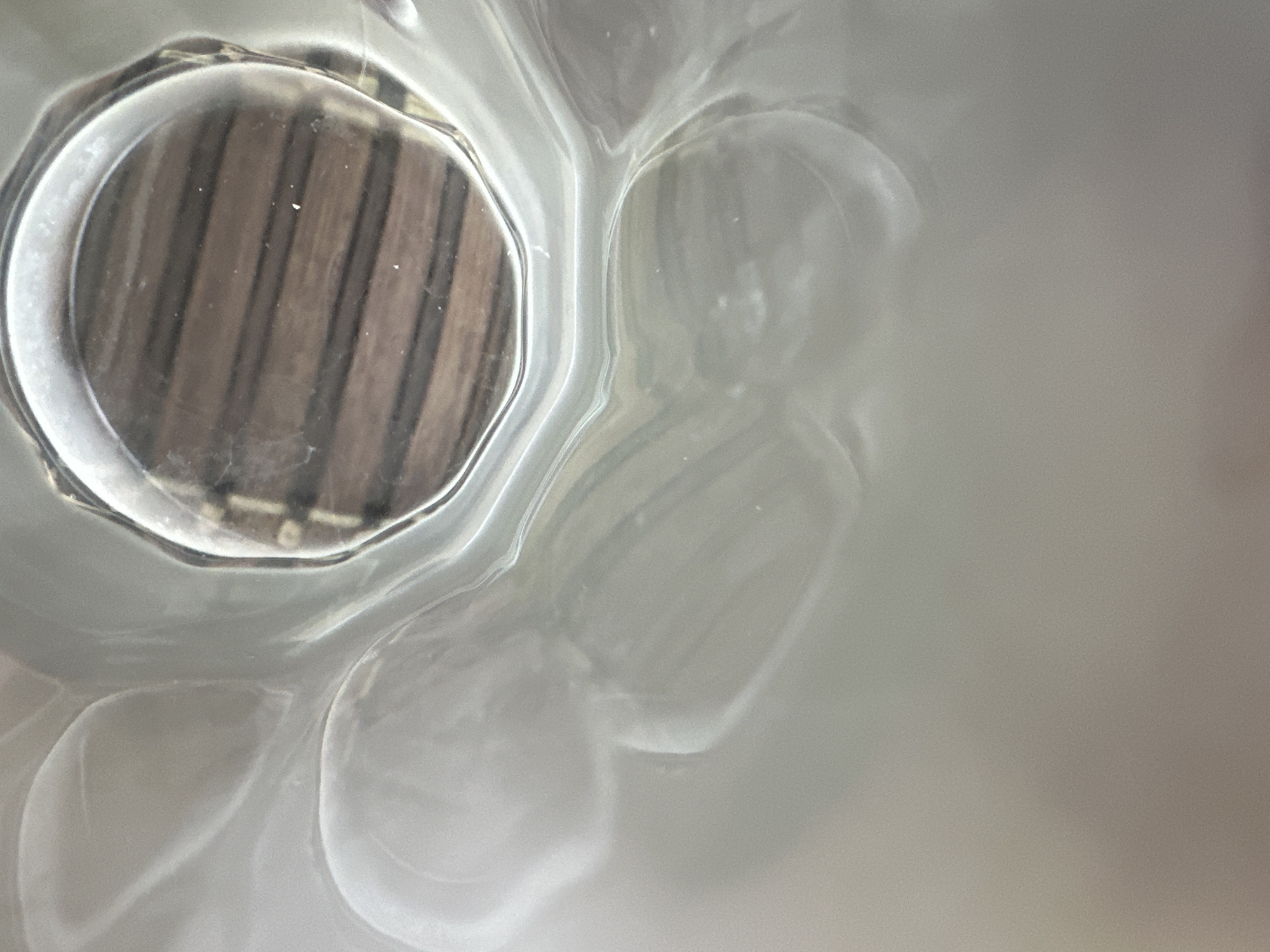 This media file shows a close-up, abstract view of the interior of a clear glass or plastic container. The primary subject is the textured surface of the container itself, which creates distorted reflections and highlights. Through the transparent material, a pattern of dark, parallel lines is visible, suggesting an object beneath or inside the container, possibly made of wood. The lighting causes bright, curved highlights on the inner surface of the container, creating a sense of depth and organic form. The overall scene is abstract and focuses on the interplay of light, transparency, and texture. There is no discernible activity or event taking place, nor are there any people visible. The notable details are the visual properties of the container and the pattern seen through it. There is no visible text, and the location context of Belgrade, Serbia, does not offer specific visual cues within the image itself.