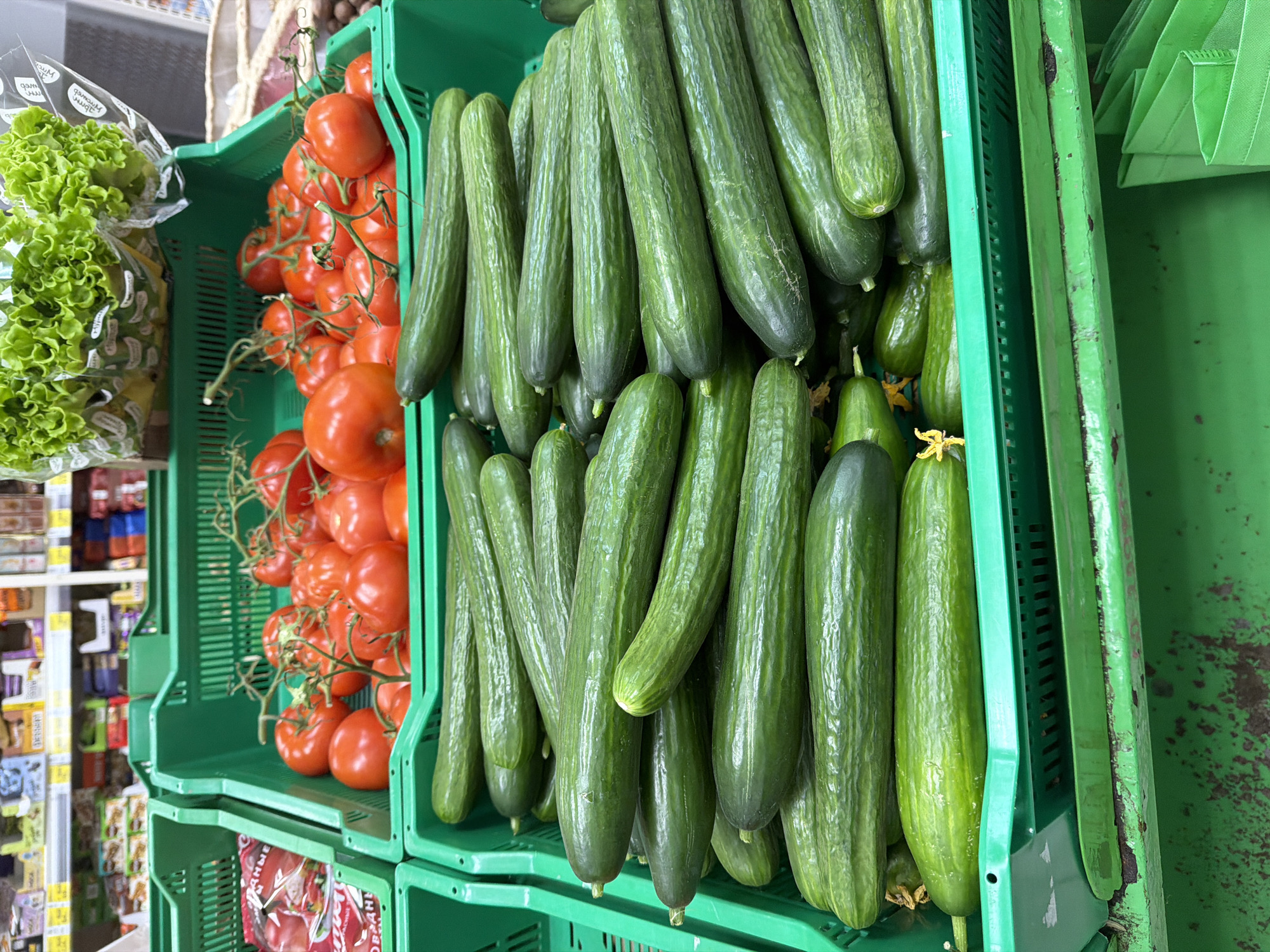 This vertical shot captures a vibrant display of fresh produce, likely in a supermarket or grocery store. The primary subjects are an abundance of green cucumbers, red tomatoes on the vine, and green lettuce.
In the foreground and center-right, numerous long, dark green cucumbers are densely packed vertically within a bright green plastic crate. Their surfaces show natural variations in texture and color, and some have small, dried yellow blossoms or stems at their ends. Below these, smaller, more typical-sized cucumbers are visible.
To the left of the cucumbers, a crate is filled with clusters of bright red tomatoes still attached to their green vines. These tomatoes are round and appear ripe. Further to the left, another green crate contains several heads of bright green, leafy lettuce, each individually wrapped in clear plastic bags. The plastic bags reflect light and show faint, mirrored text, possibly "MYPHM" and other characters, suggesting product branding or information.
The produce is housed in utilitarian green plastic crates, some appearing relatively clean and new, while the crate on the far right, partially visible, is grungier, showing wear, dirt, and some dark discoloration. This rightmost crate also holds several neatly folded green reusable shopping bags.
In the blurry background on the left, commercial shelving units are visible, stocked with various packaged food items, further reinforcing the setting of a retail environment. The lighting is bright and artificial, typical of an indoor store. No people are visible, and no specific activity beyond the display of goods is depicted. Partially visible text "ОРБАНЕ" can be seen on a red package on a lower shelf in the background.