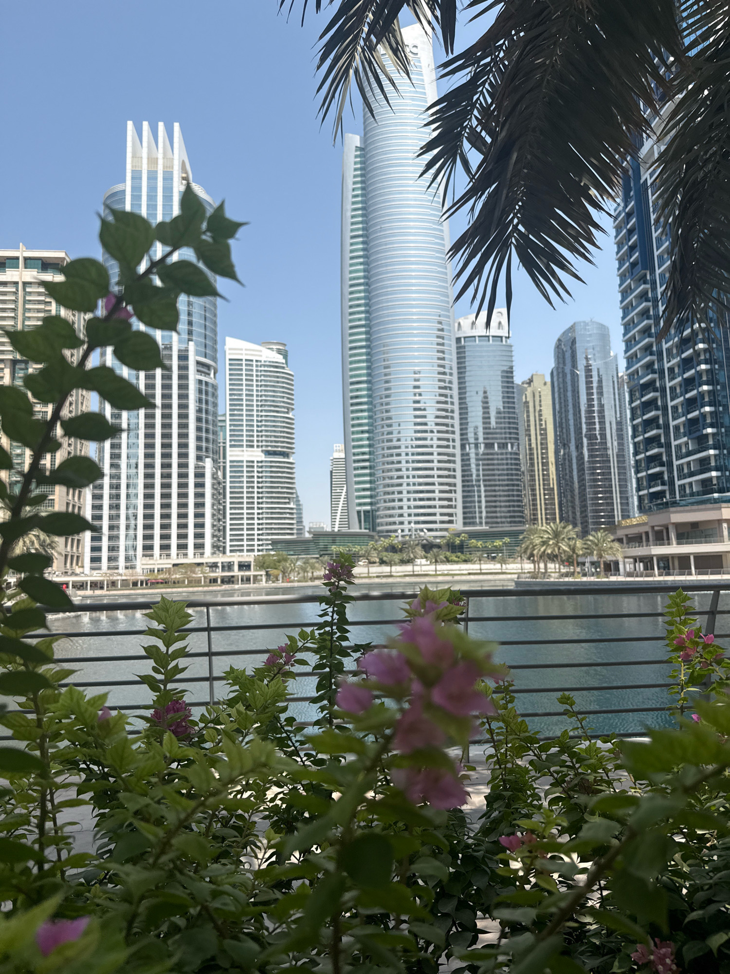 The image captures a view of the Dubai Marina skyline, a prominent waterfront district in Dubai, United Arab Emirates. In the foreground, out-of-focus greenery, including leaves and pink flowers, partially obscures the scene. Beyond the foliage, a calm body of water reflects the bright blue sky. A metallic railing runs along the edge of the water.
Dominating the background is a cluster of modern skyscrapers with varied architectural designs. One tall, cylindrical building with a reflective glass facade is particularly prominent, featuring a spiraling pattern of white lines. To its left, a skyscraper with a distinctive stepped crown stands out. Other buildings in the cityscape display a mix of glass and concrete exteriors, showcasing the contemporary urban development of Dubai. Palm trees are visible in the middle ground, interspersed among the buildings. The overall impression is one of a sunny day in a bustling, upscale urban environment. There are no people visible in the frame.
