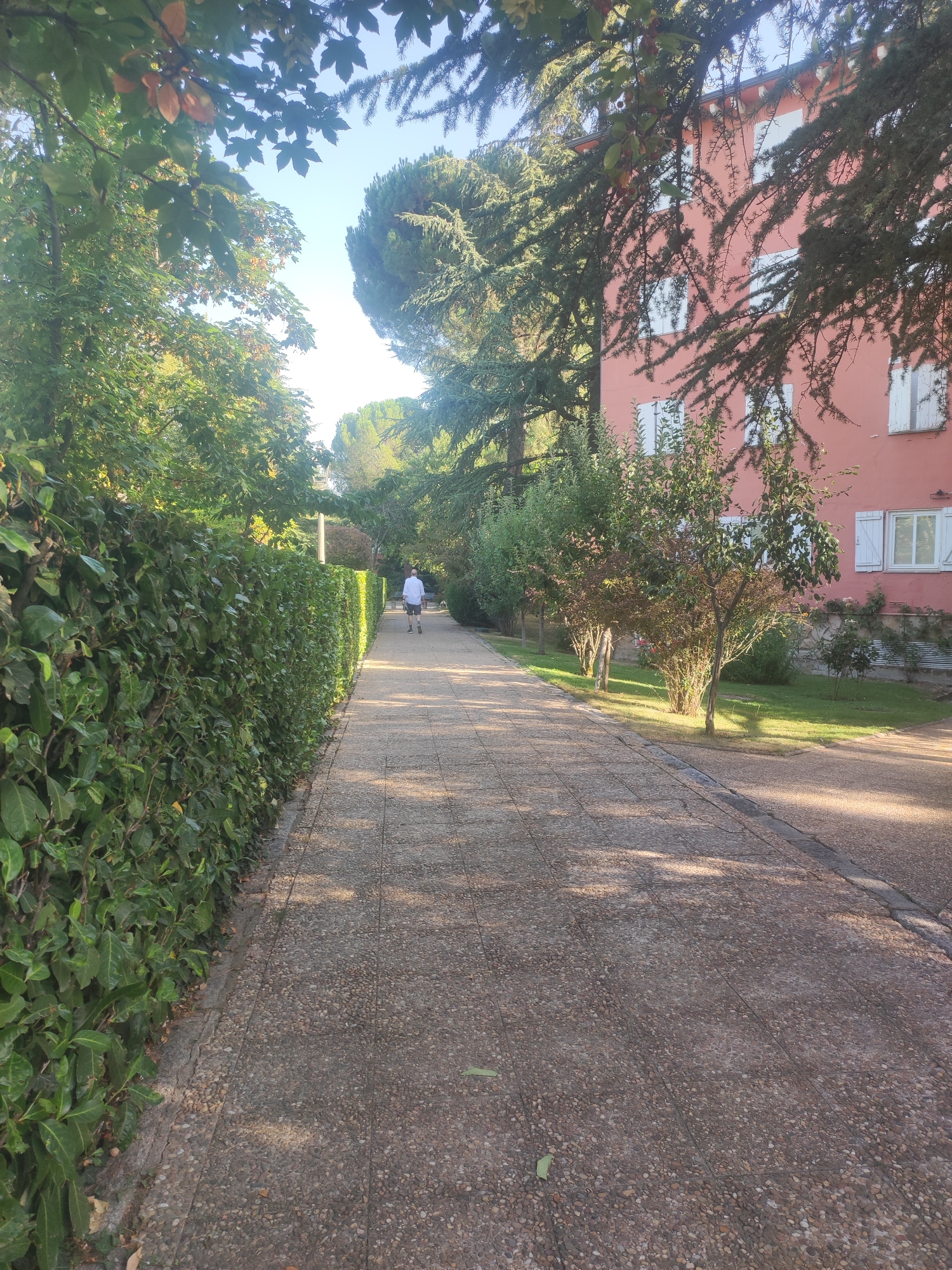 A person is walking away from the camera on a paved pathway lined with a dense green hedge on the left and trees and a salmon-pink building on the right. The pathway is made of concrete with embedded pebbles. The person is wearing a white short-sleeved shirt and dark shorts. The building has white-shuttered windows. The scene appears to be in a park or garden setting. The lighting suggests it is daytime, possibly late afternoon, with shadows cast by trees on the pathway. The location is specified as Real Sitio de San Ildefonso, Spain, implying a potentially historical or royal garden context.