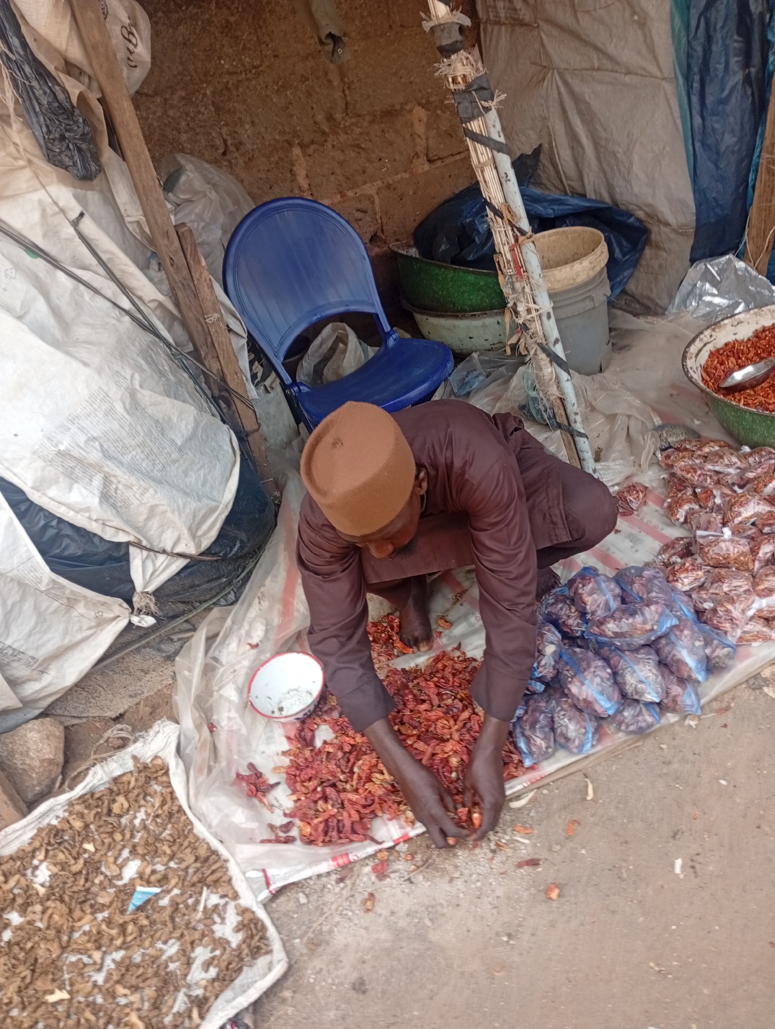 This is an outdoor market scene in Rafin Par, Nigeria. A person wearing a brown kaftan and a brown cap is kneeling and sorting through dried chili peppers. The peppers are spread out on a white cloth. To the right, there are bags of chili peppers and a bowl filled with more peppers. To the left, there are large white bags, a blue plastic chair, and a wooden pole. The ground is sandy. The background appears to be a wall made of mud bricks and a tarp.