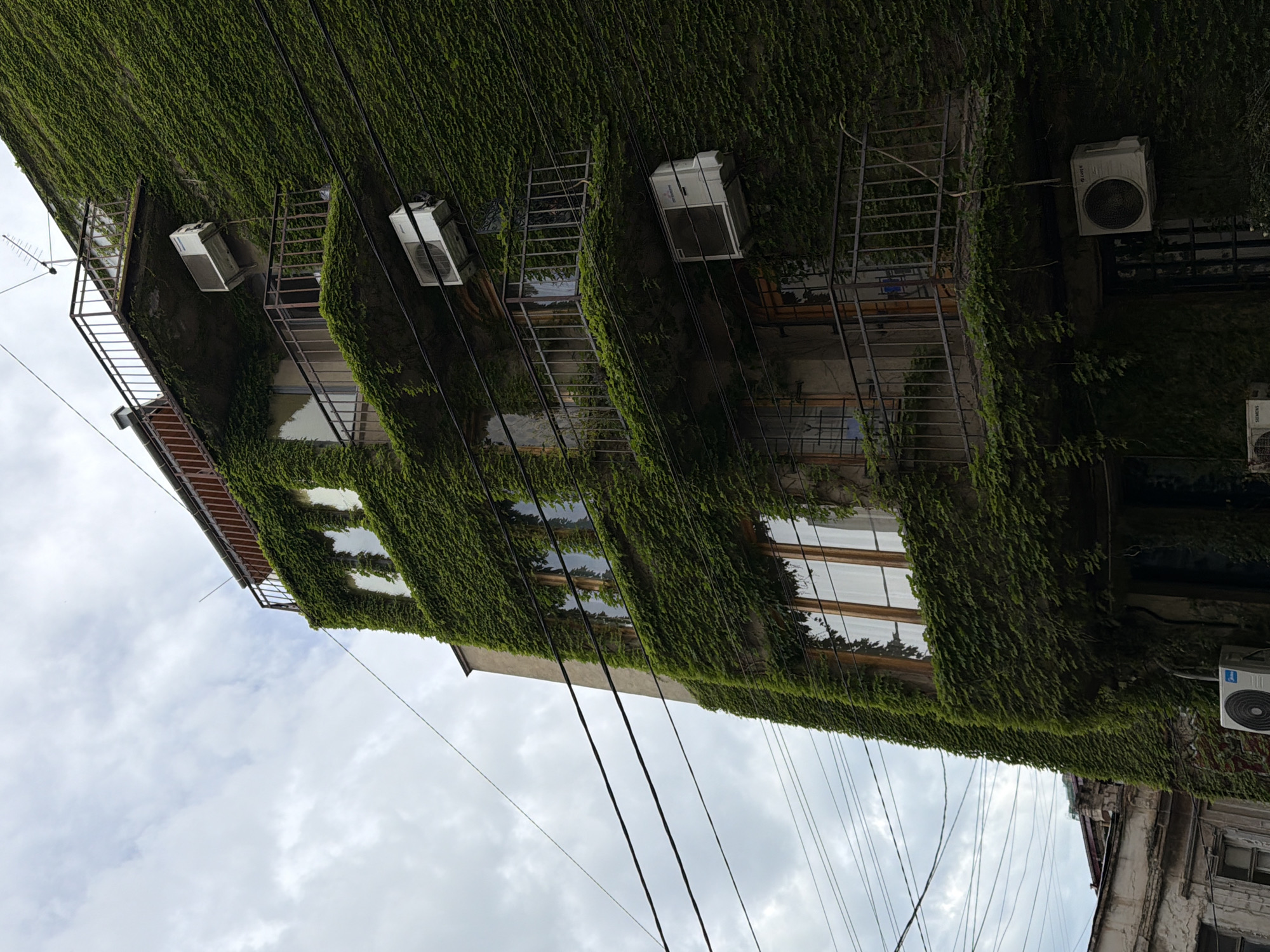 A low-angle shot depicts a multi-story building densely covered in green ivy, with visible windows and air conditioning units mounted on the facade. Several black electrical or communication wires are running diagonally across the frame against a backdrop of a cloudy sky. The building has metal fire escape stairs. The image appears to be taken in Tbilisi, Georgia.