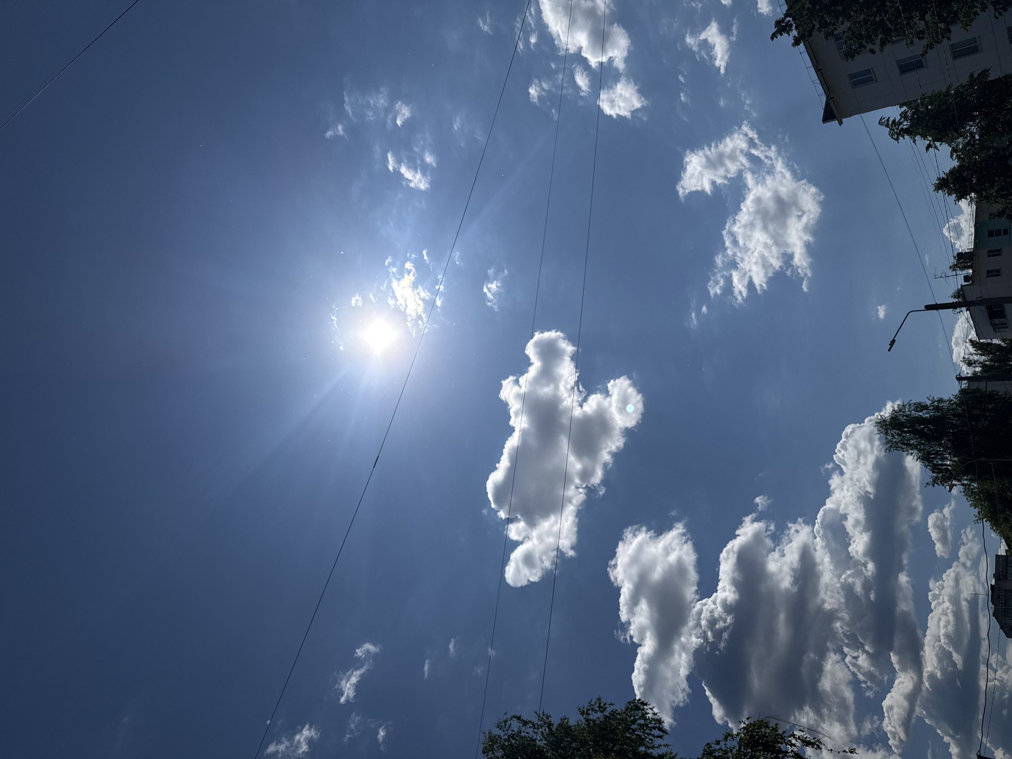 A wide-angle, low-angle shot captures a bright, sunny day with a clear blue sky dotted with fluffy white clouds. The sun is intensely bright in the upper center, casting strong rays and a lens flare across the sky. Several power lines stretch horizontally across the frame, dividing the sky. On the left, the dark green leaves of a tree are visible. In the lower right and bottom center, the tops of buildings and trees can be seen, suggesting an urban environment. A lamppost is also visible in the lower center. The image appears to be taken outdoors on a clear day in an unspecified urban location.