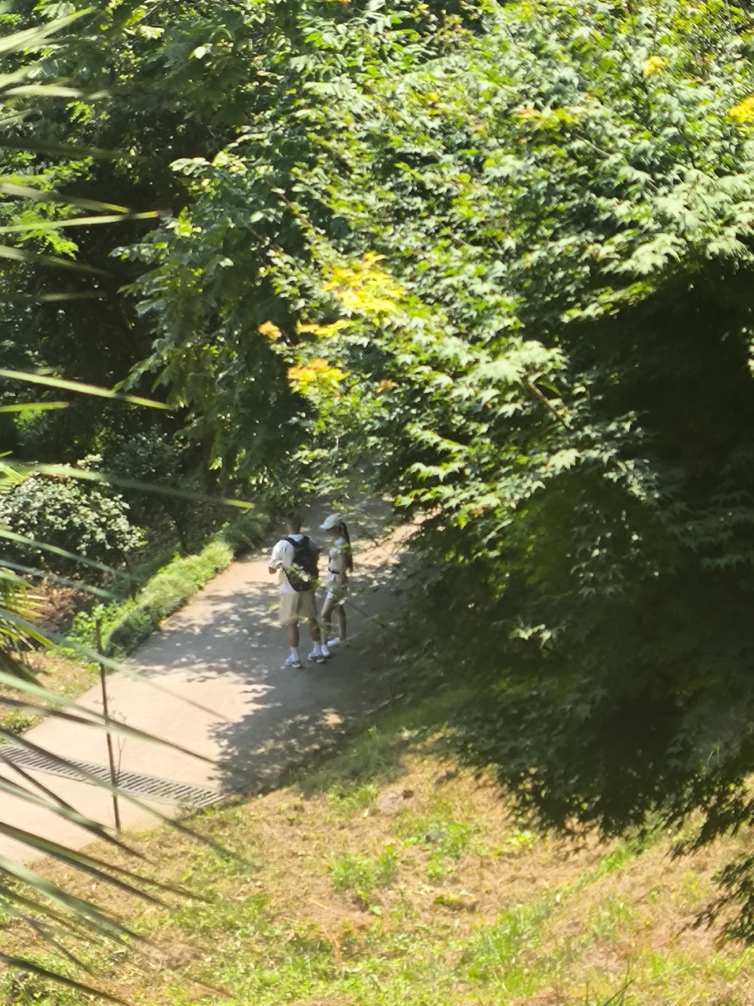 Two people are walking on a paved path surrounded by lush green trees and vegetation. The person on the left is wearing a white t-shirt, light-colored shorts, and a backpack, with dark-colored sneakers. The person on the right is wearing a light-colored outfit and a white baseball cap, also with light-colored sneakers. The path appears to be in a park or garden setting, with dappled sunlight filtering through the leaves, creating shadows on the ground. The image's quality suggests it was taken from a distance or with a mobile device. Based on the foliage and general atmosphere, this scene could be from the Batumi Botanical Garden in Batumi, Georgia, known for its diverse plant collections and scenic walking paths.