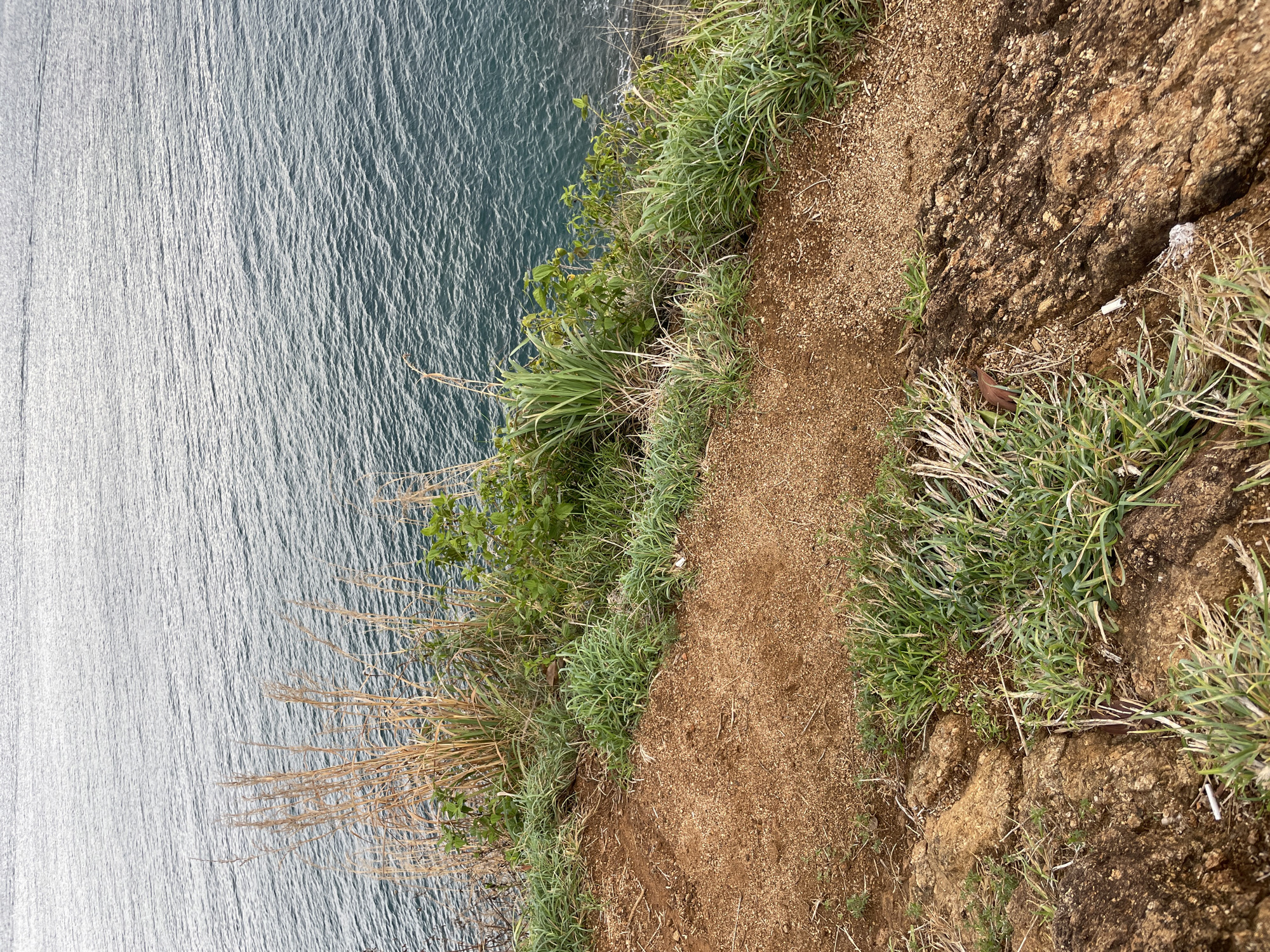 A high-angle, slightly rotated view shows the edge of a cliff bordering the ocean. The ocean is on the left, with a rippled surface. The cliff edge is on the right, composed of dirt and rocks. Patches of grass and vegetation grow along the cliff's edge. A narrow path of dirt runs along the top of the cliff. The location is Rawai, Thailand.