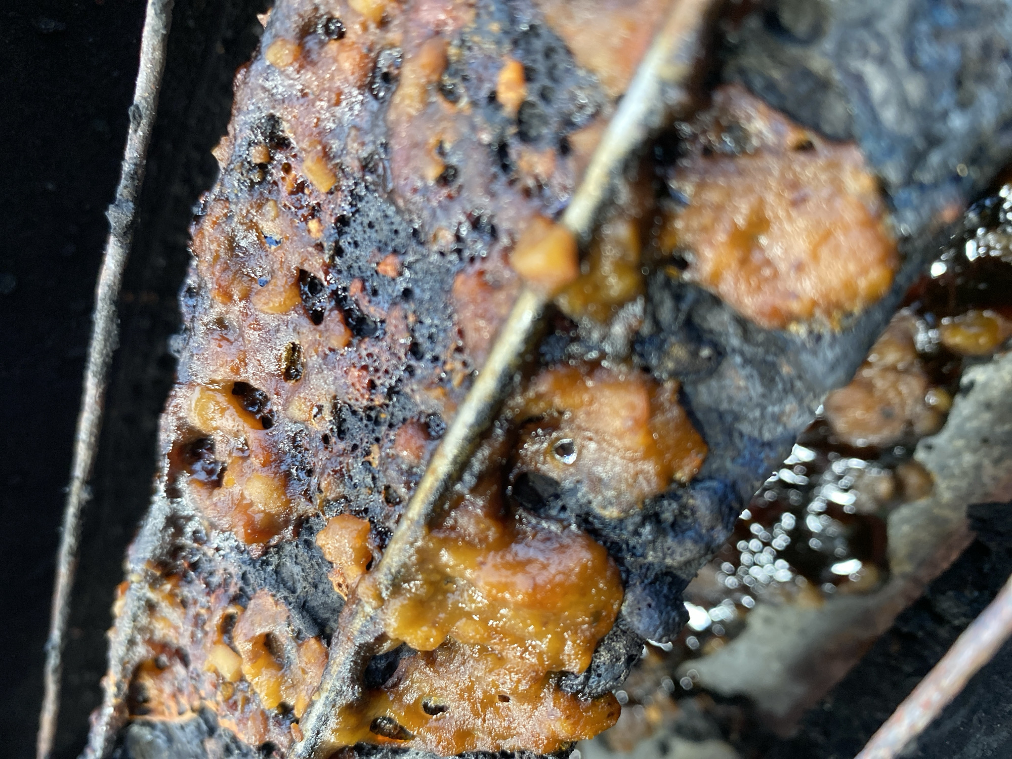 A close-up, low-angle, macro photograph captures a heavily charred and greasy barbecue grill grate. The grate is covered in thick, burnt-on food residue, primarily in dark brown and black tones with patches of orange and reddish-brown, suggesting remnants of meat and sauce. Small, glistening droplets of grease are visible, reflecting the light. The texture of the burnt food is rough, porous, and uneven, with some areas appearing melted and fused to the metal. In the background, out of focus, is the dark interior of a grill. The image does not contain any elements that can identify a specific location within the city of Kasihan, Indonesia, nor does it depict any people, actions, or interactions.