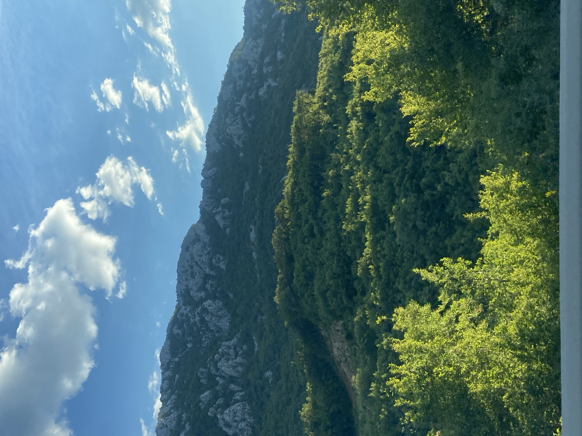 The image shows a view of a mountain in Mišići, Montenegro. The mountain is covered in green vegetation, with some rocky areas visible near the top. The sky is blue with scattered white clouds. There is some green foliage in the foreground. The image appears to be taken during the daytime.